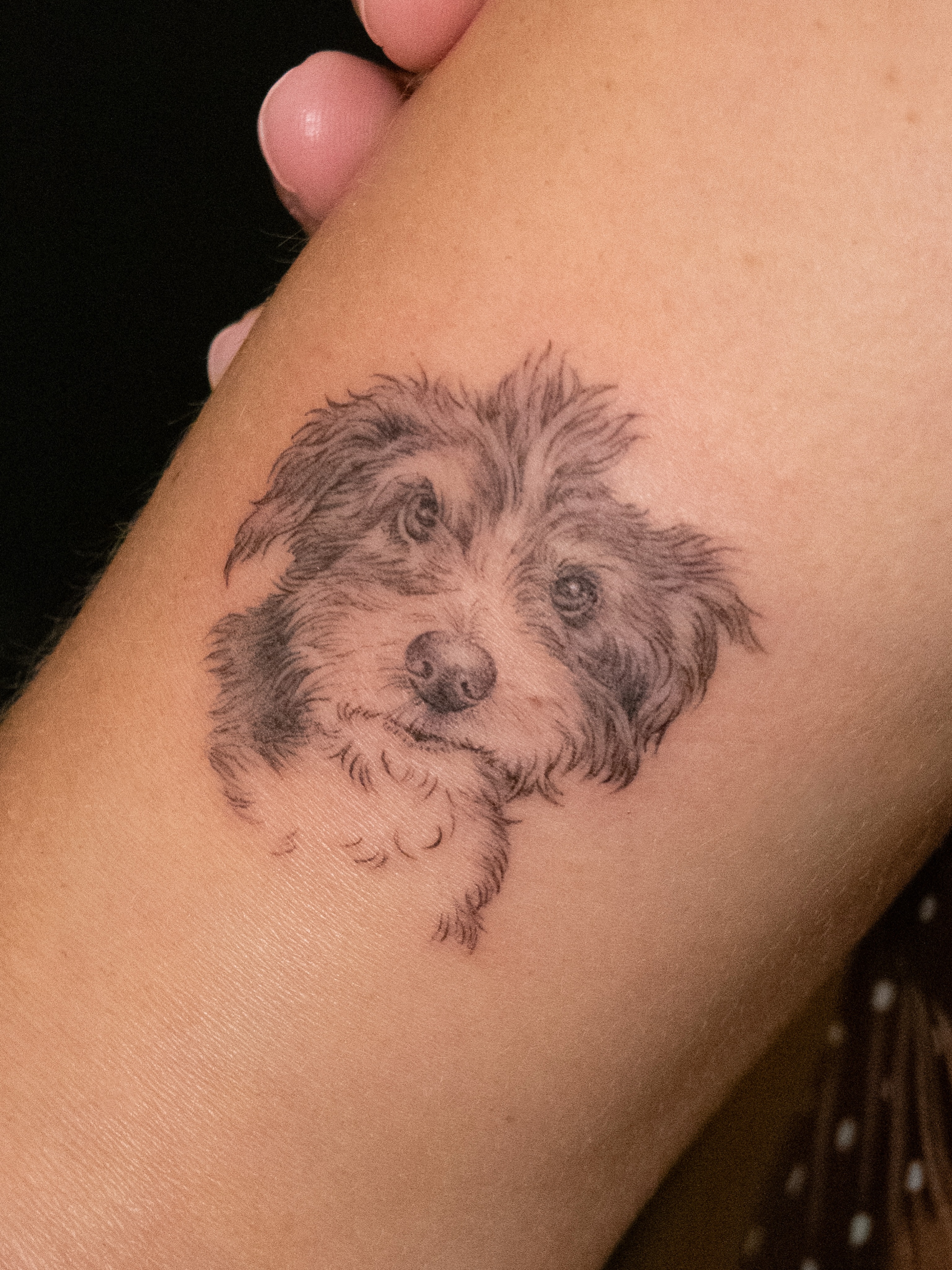 Dog realism tattoo on the forearm by Junh Tattoo NYC
