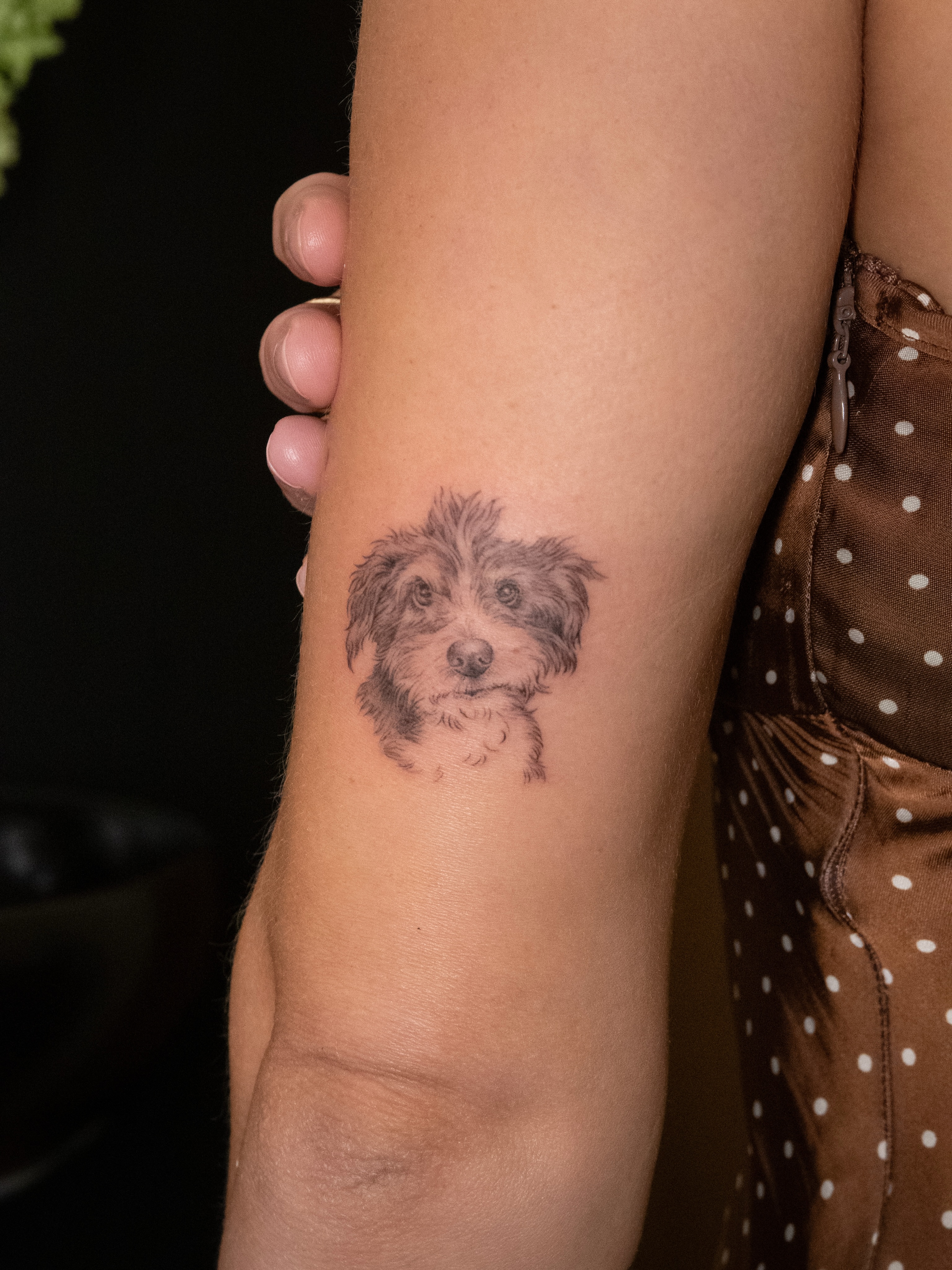 Dog realism tattoo on the forearm by Junh Tattoo NYC