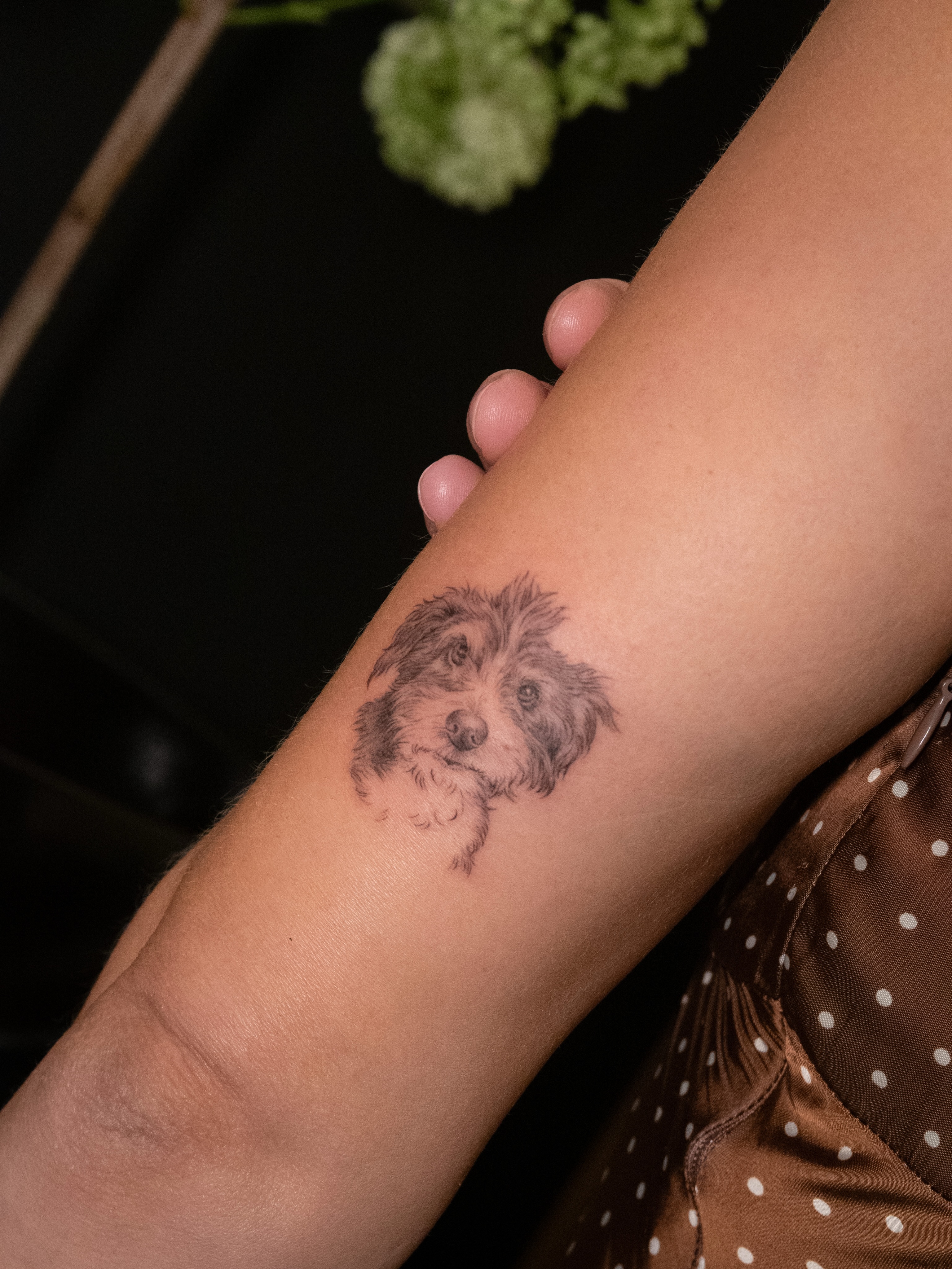 Dog black and grey tattoo on the forearm by Junh Tattoo NYC