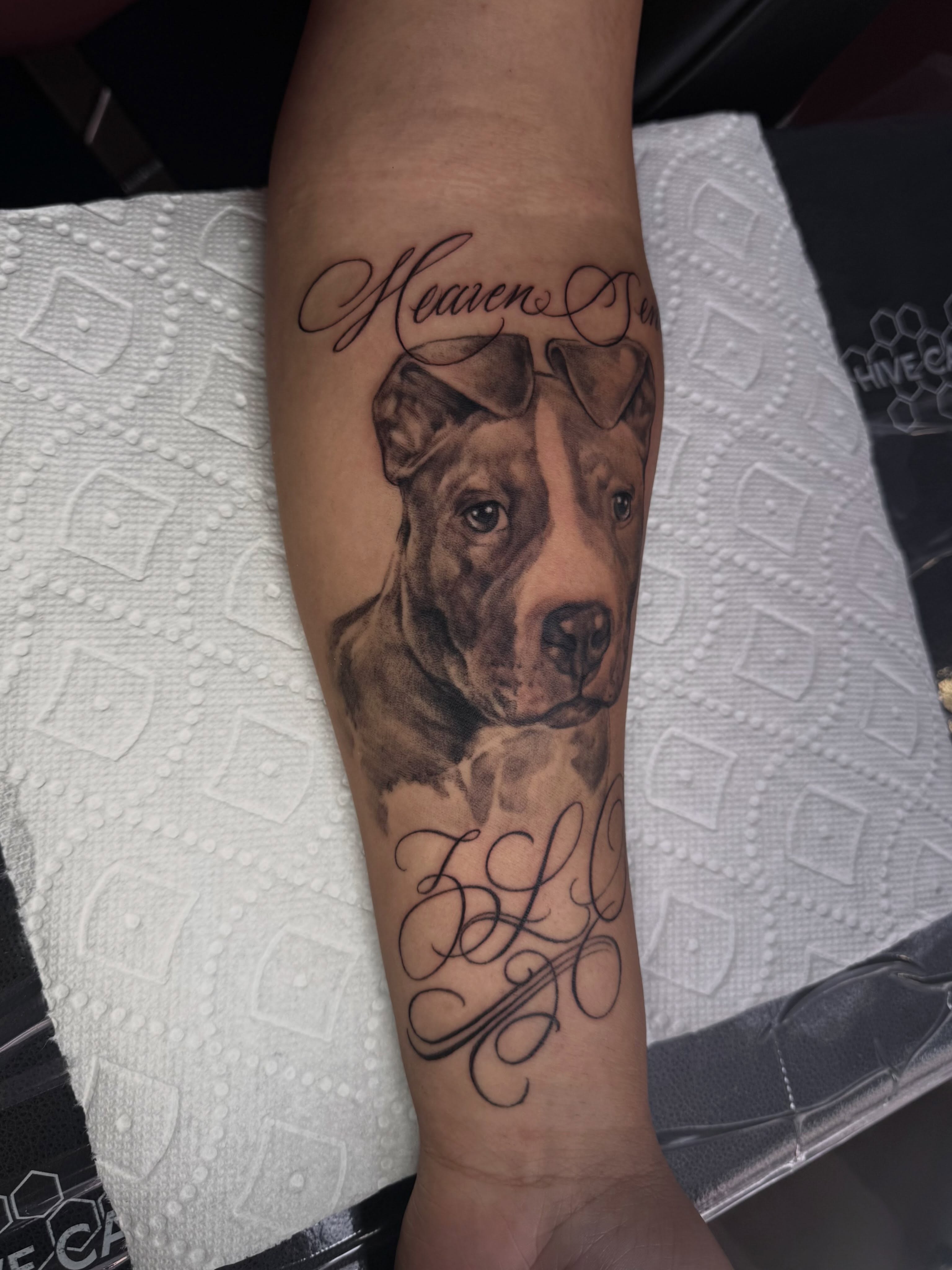 Dog portrait realism tattoo on the forearm by dallas tattoo artist ๐ฒ๐ฝ bilingue