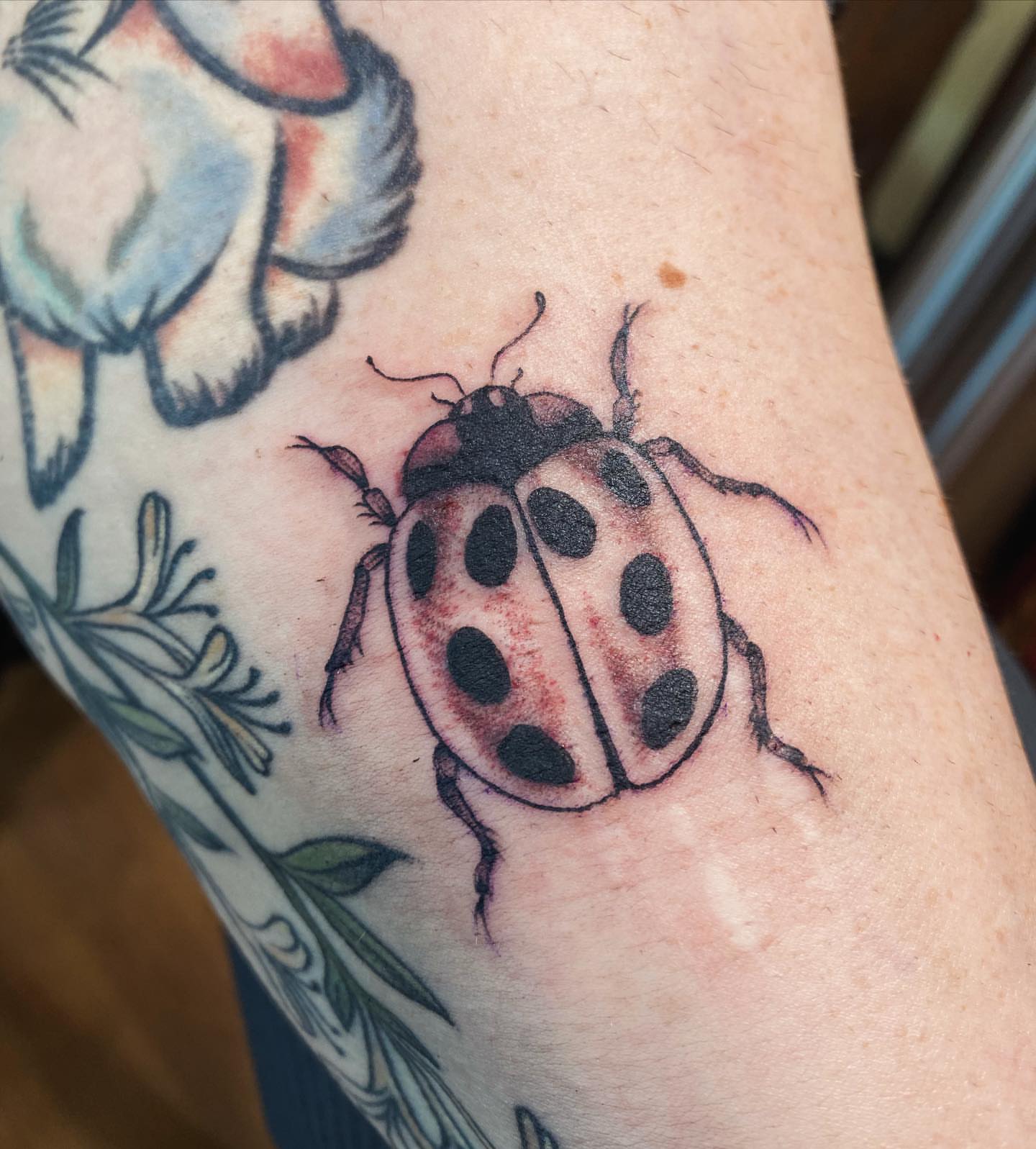 Ladybug American traditional tattoo on the forearm by adrienne mae ❀