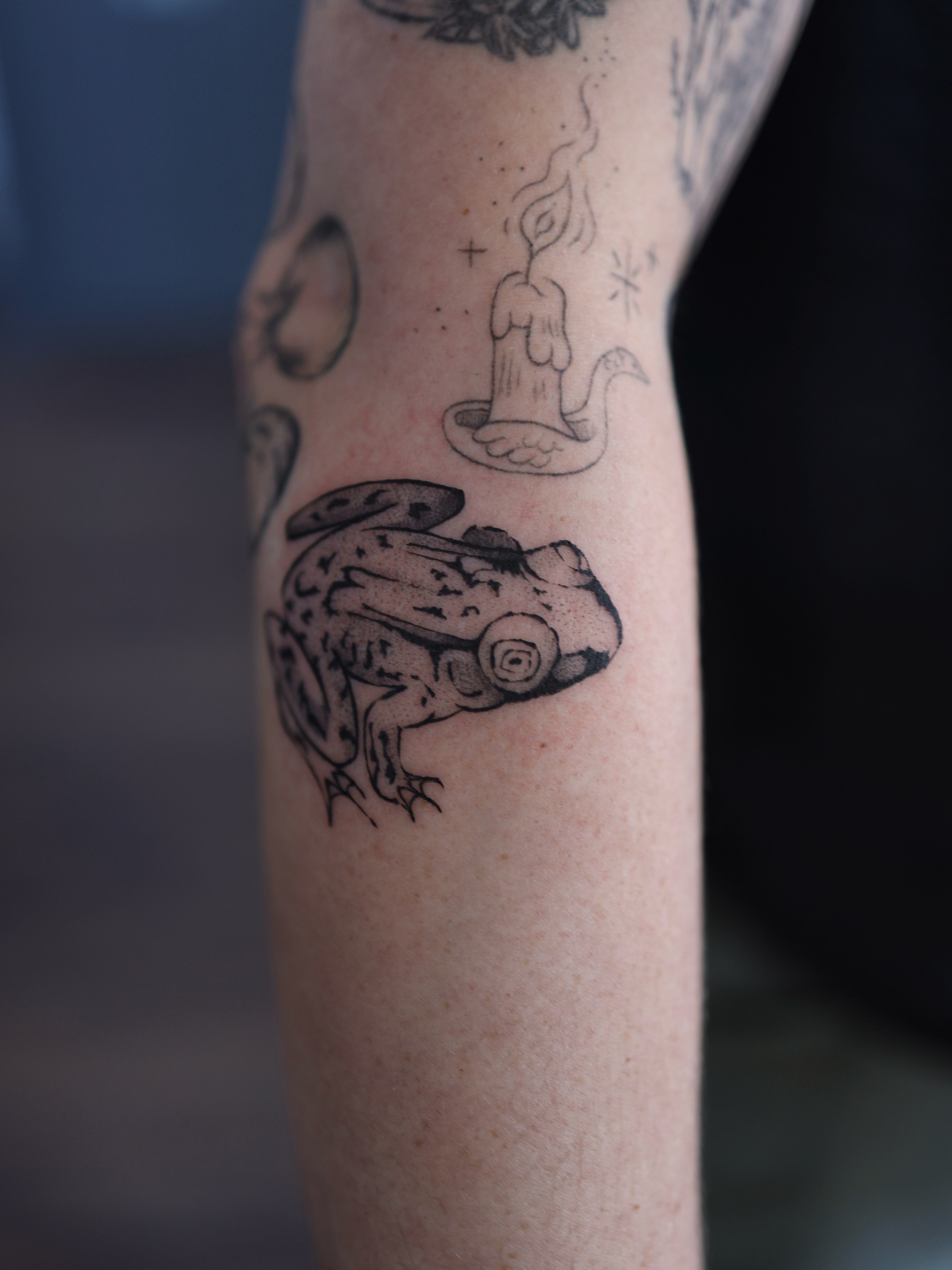 Frog black and grey tattoo on the forearm by morgan purcey