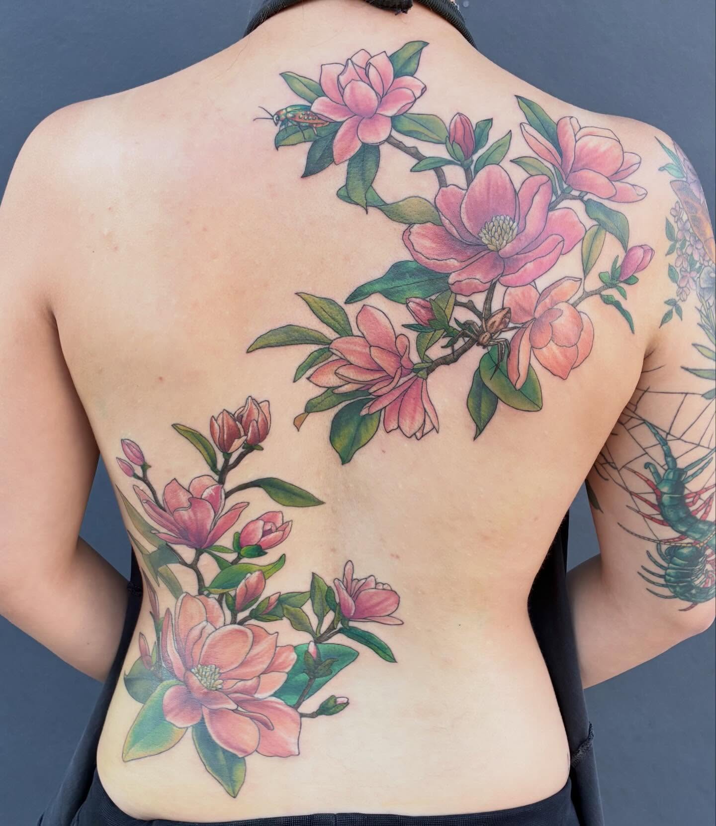Magnolia blossoms realism tattoo on the back by Linzi Hungerford, Bozeman, Montana