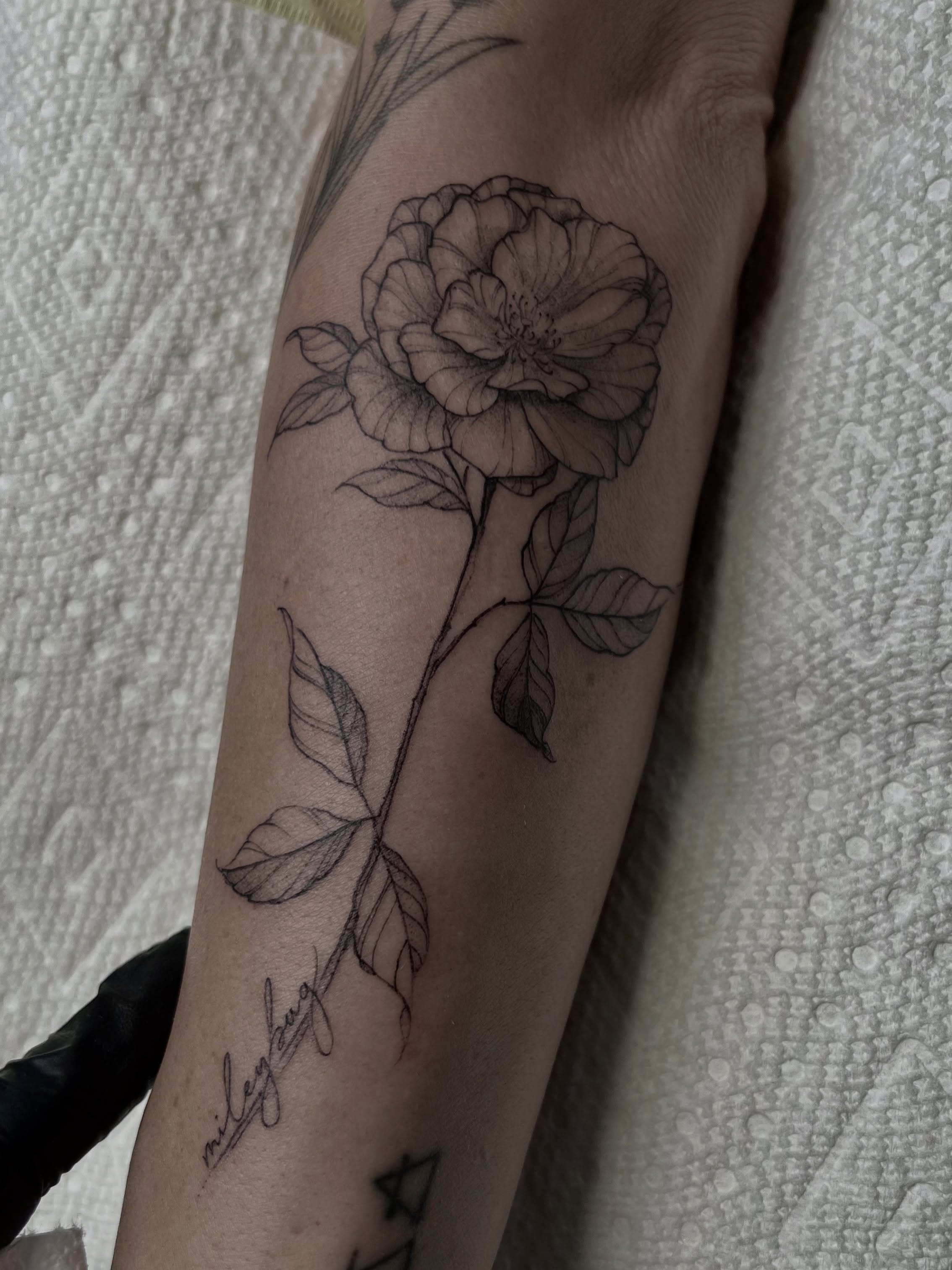 Tattoo by @woodrowtattoo — black_and_grey
