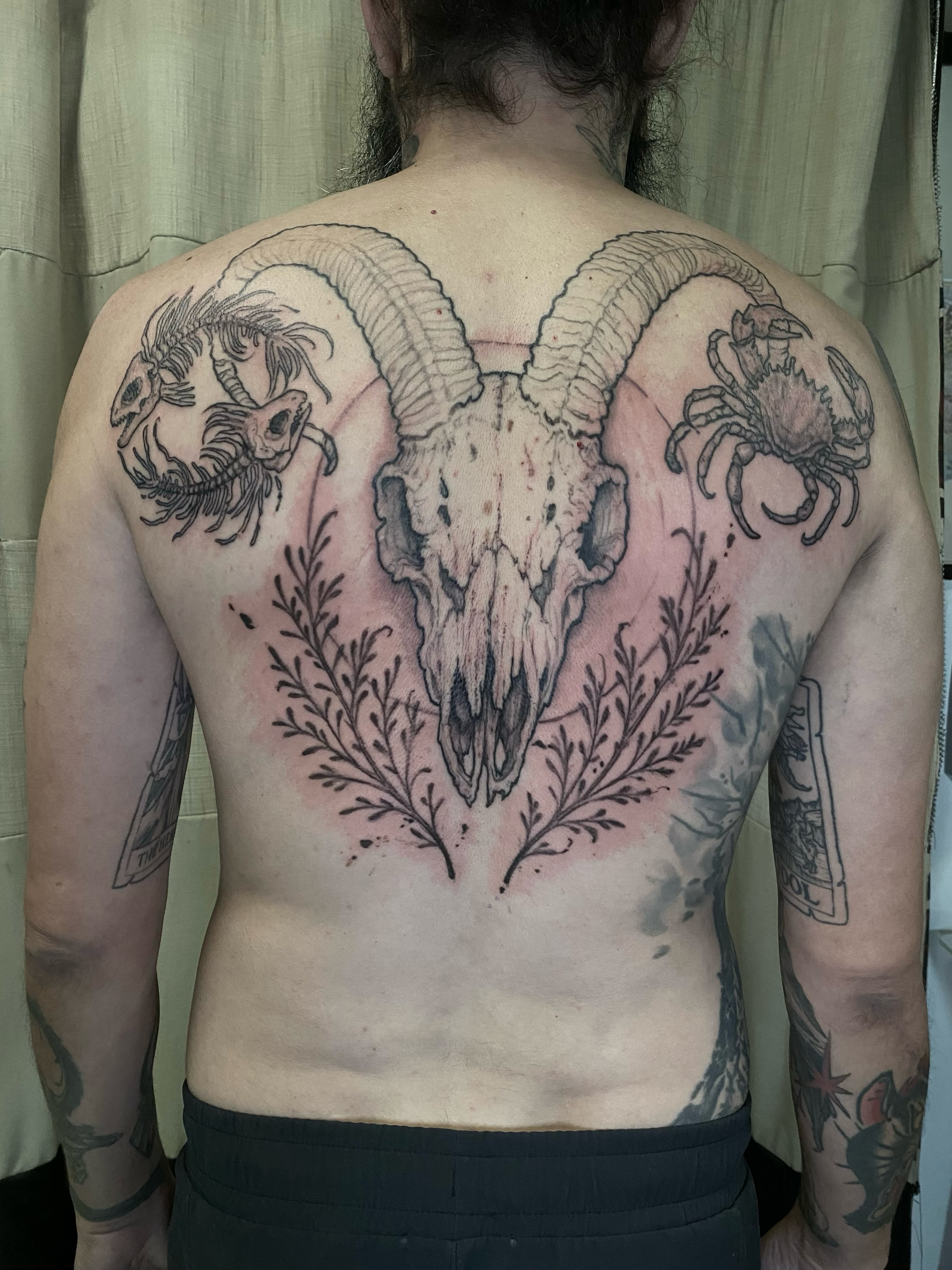 Ram skull black and grey tattoo on the back by Dana Jones