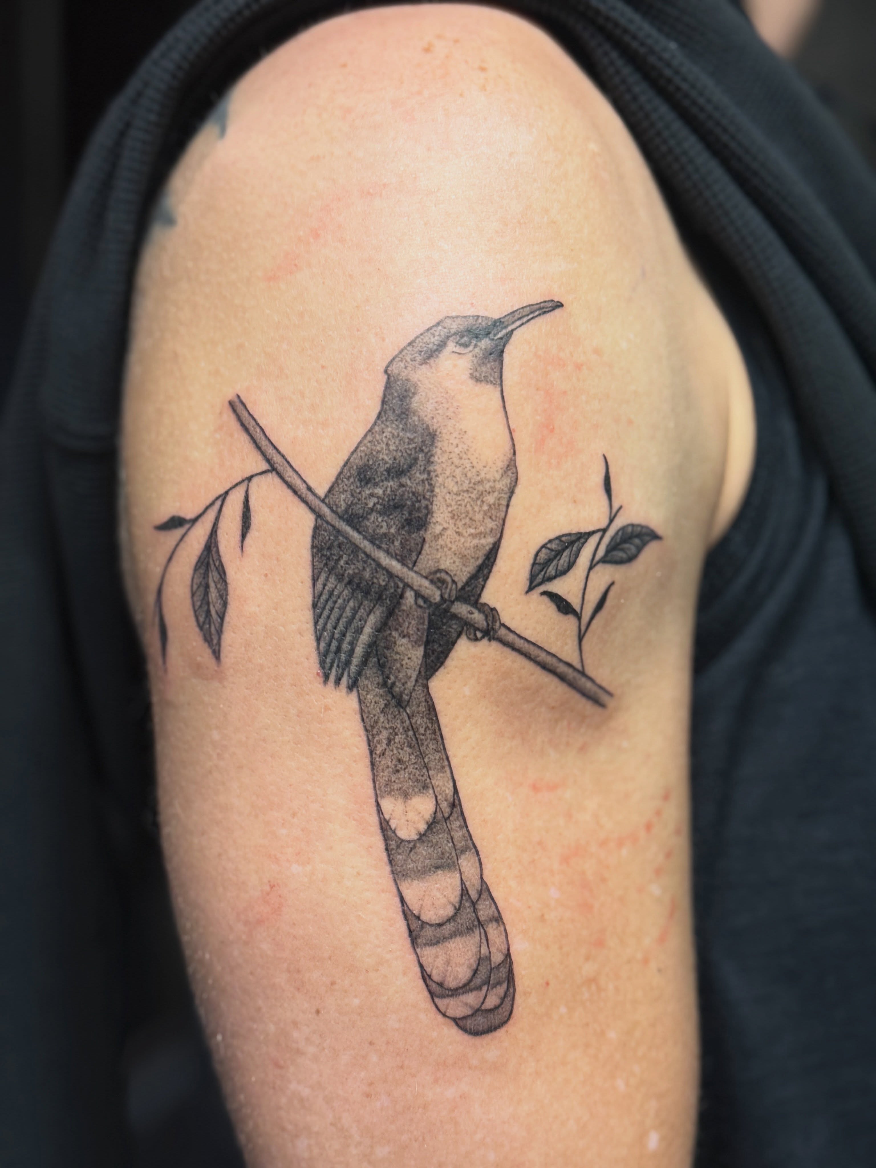 Tattoo by @sloastattoos — dotwork, realism