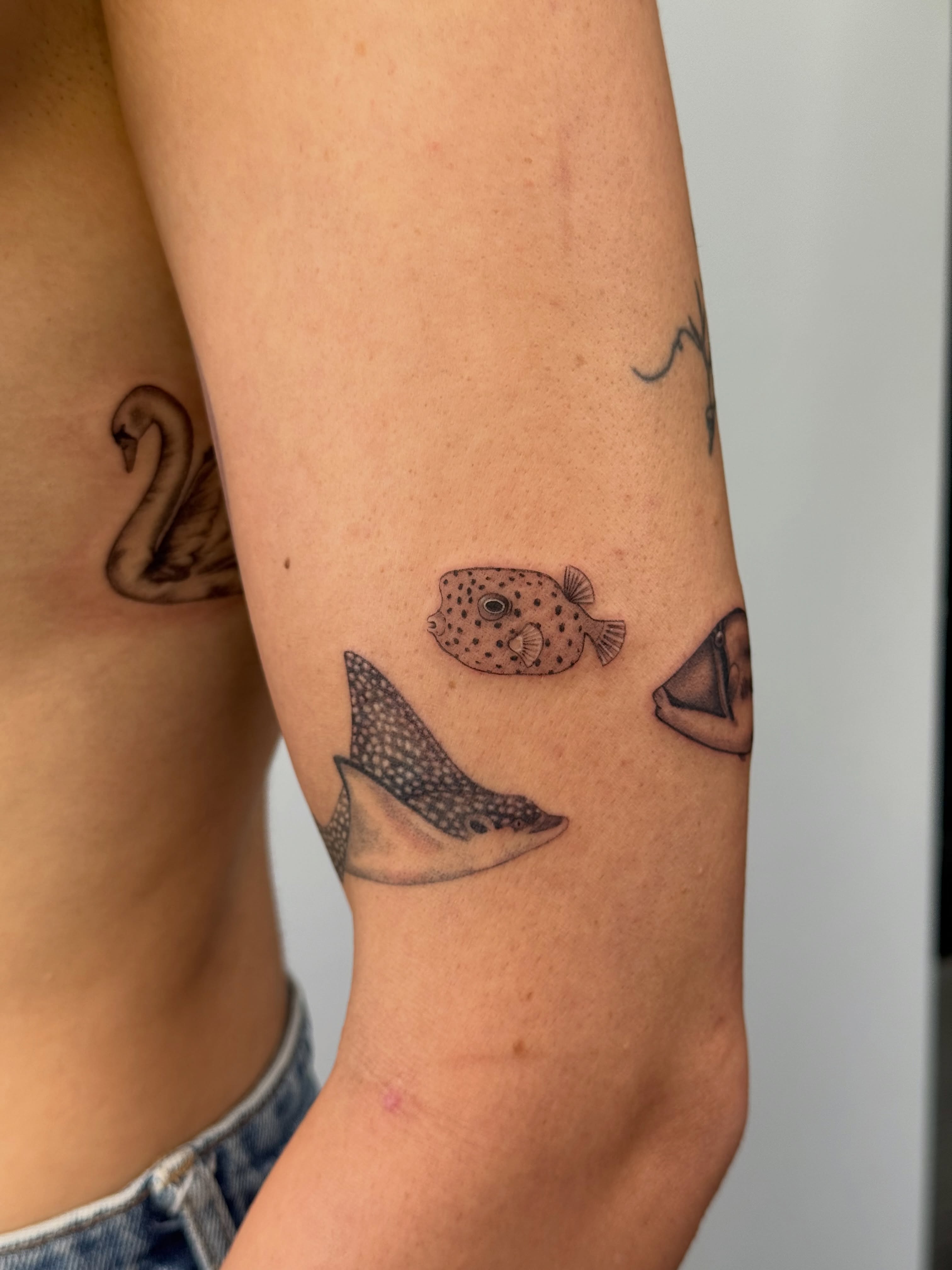 Fishes dotwork tattoo on the forearm by Lea Burkard, Berkeley, California