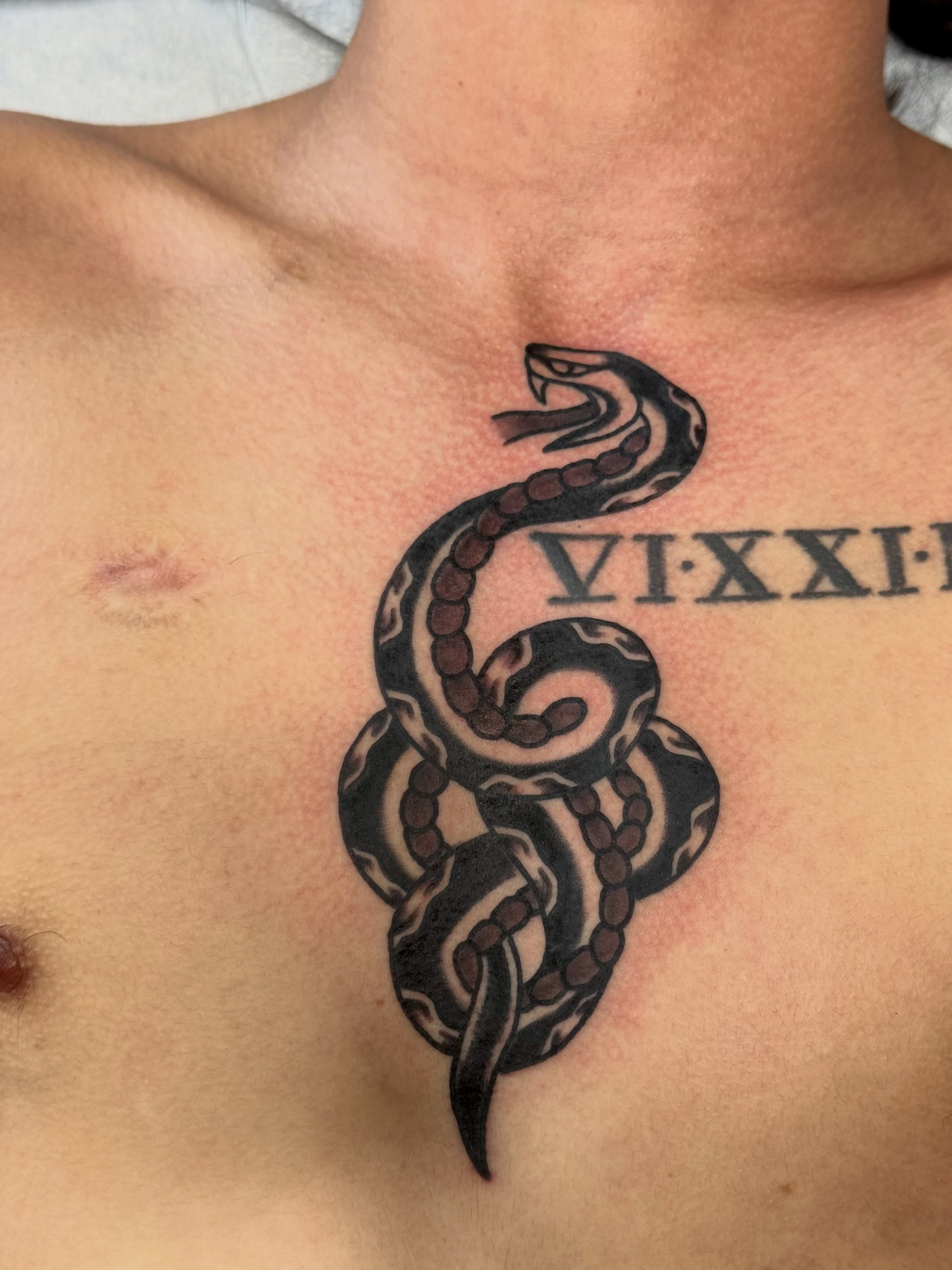 Snake black and grey tattoo on the chest by San Diego Tattoo Artist - 𝔍𝔞𝔠𝔬𝔟 𝔓𝔞𝔫𝔦𝔞𝔤𝔲𝔞
