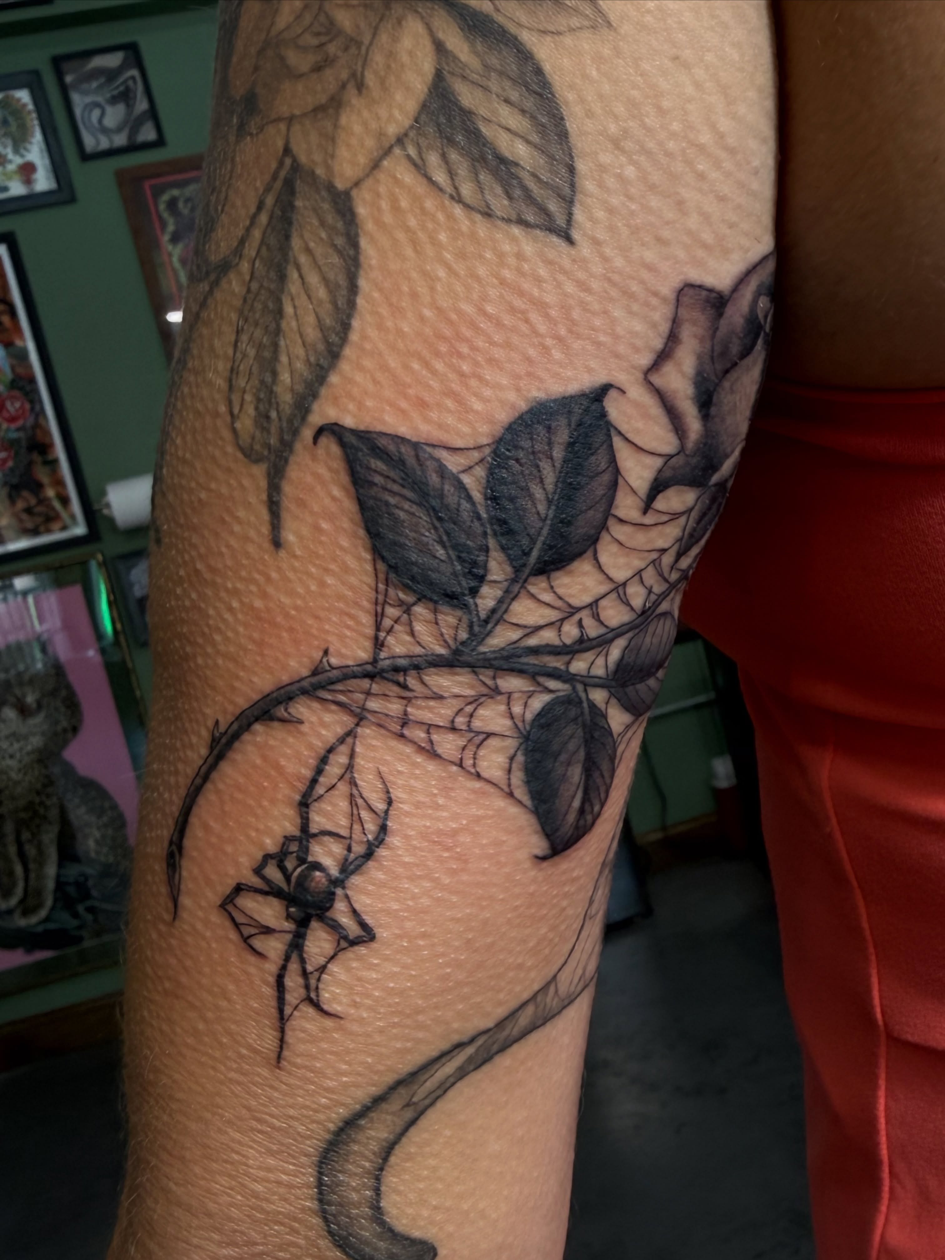 Spider and vine realism tattoo on the forearm by Devin Derbes