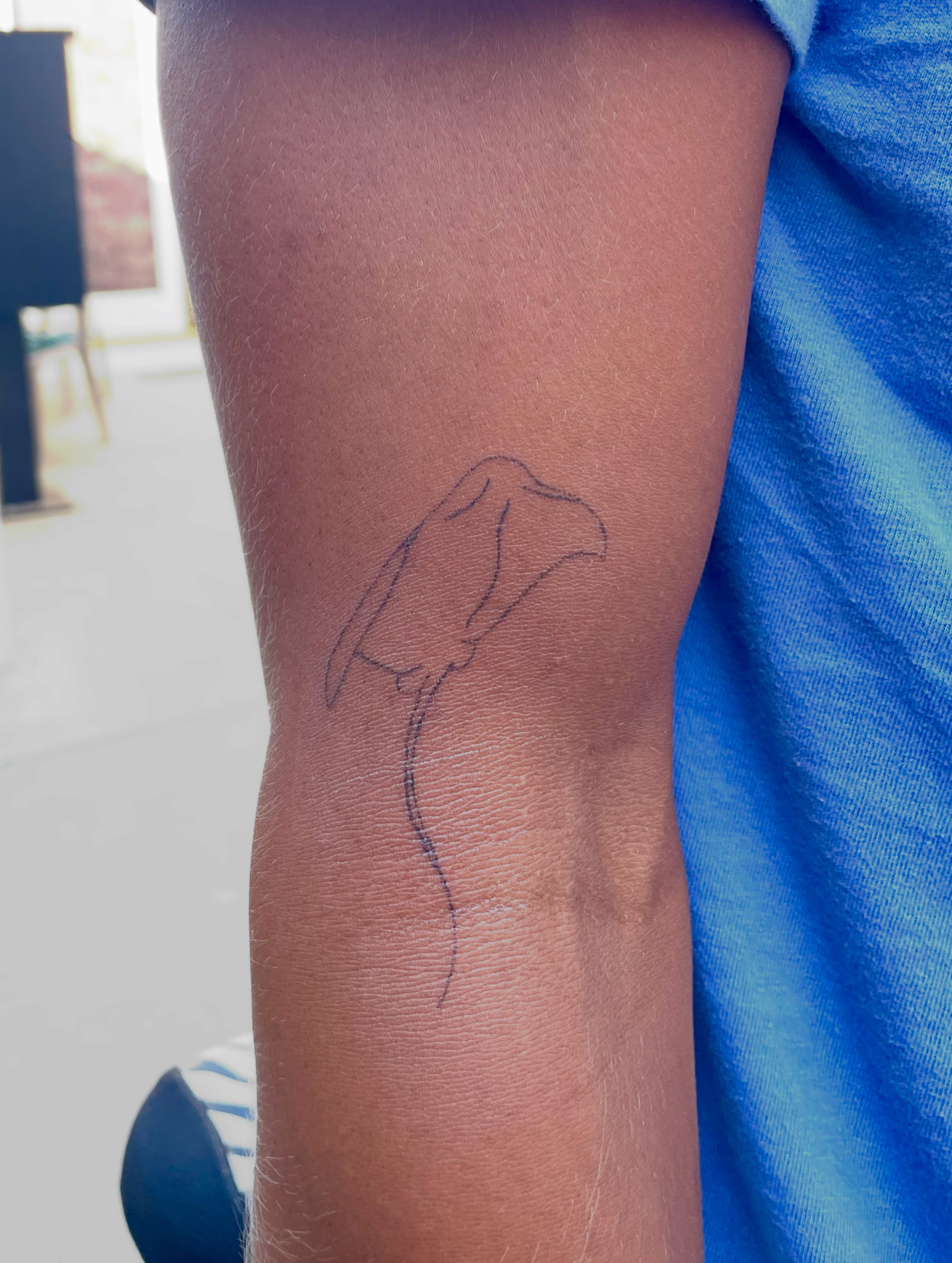 Bird fine line tattoo on the forearm by Alyssa