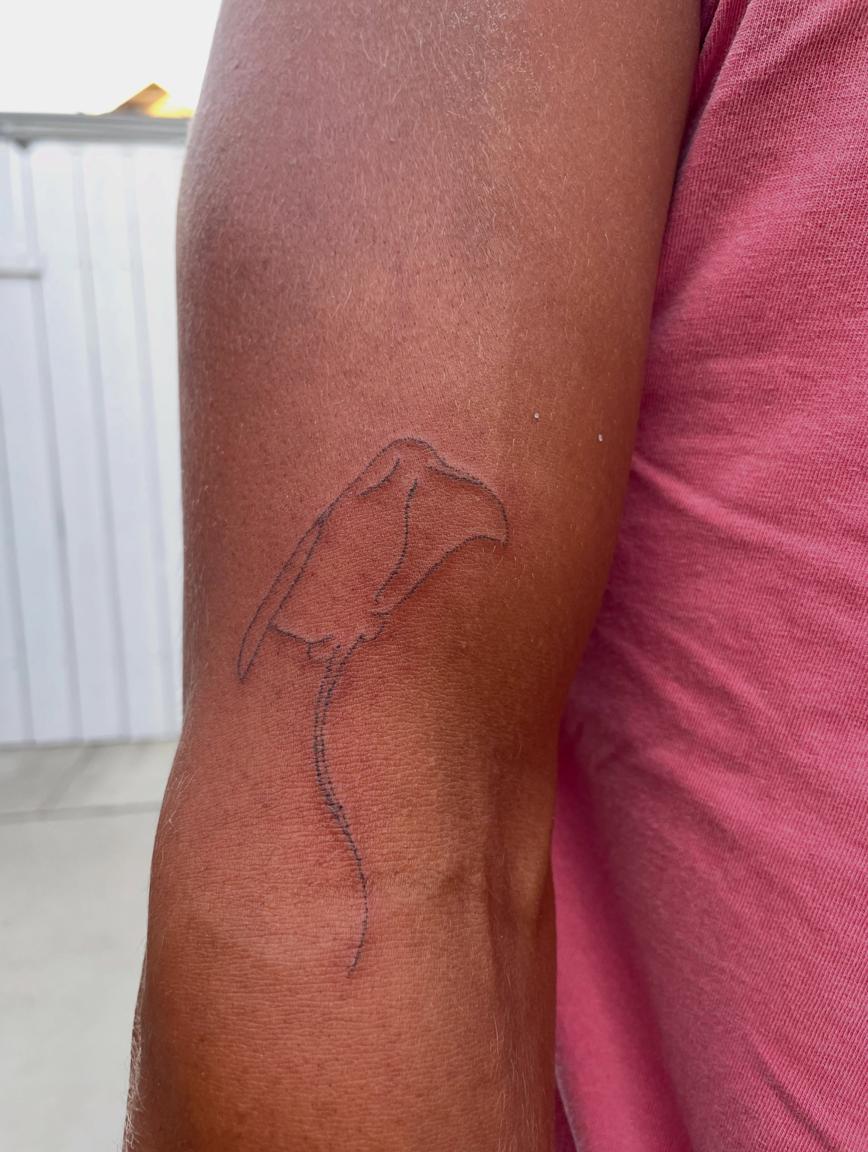 Ray minimalist tattoo on the forearm by Alyssa