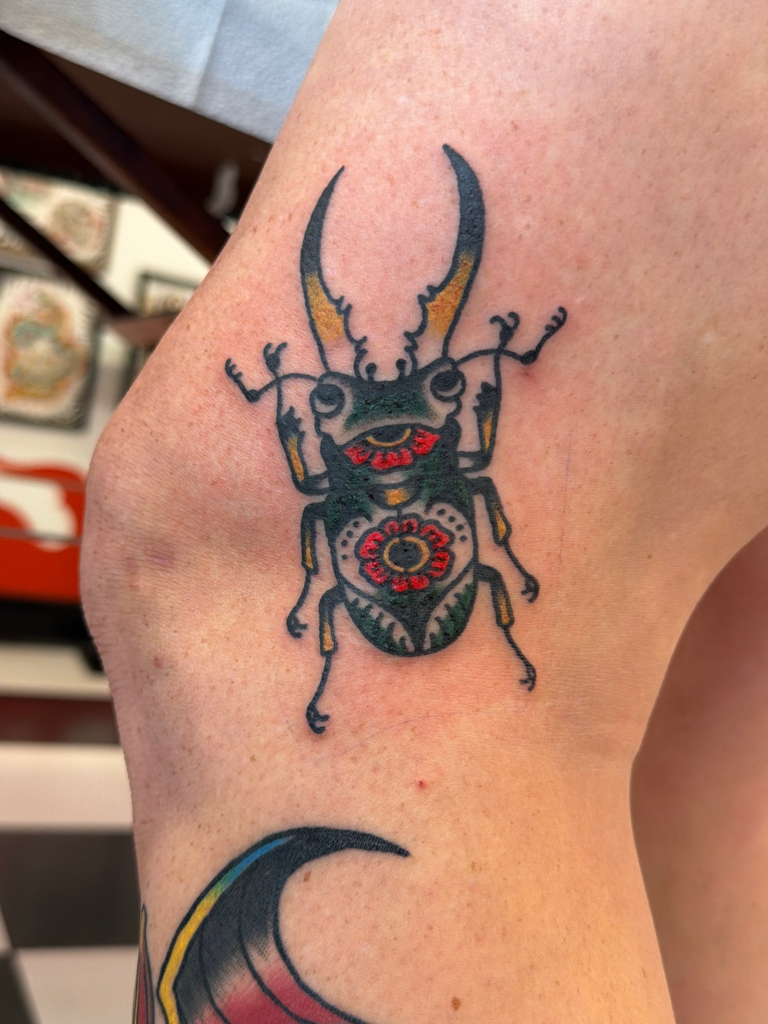 Stag beetle American traditional tattoo on the forearm by Emma Fox Tattoo