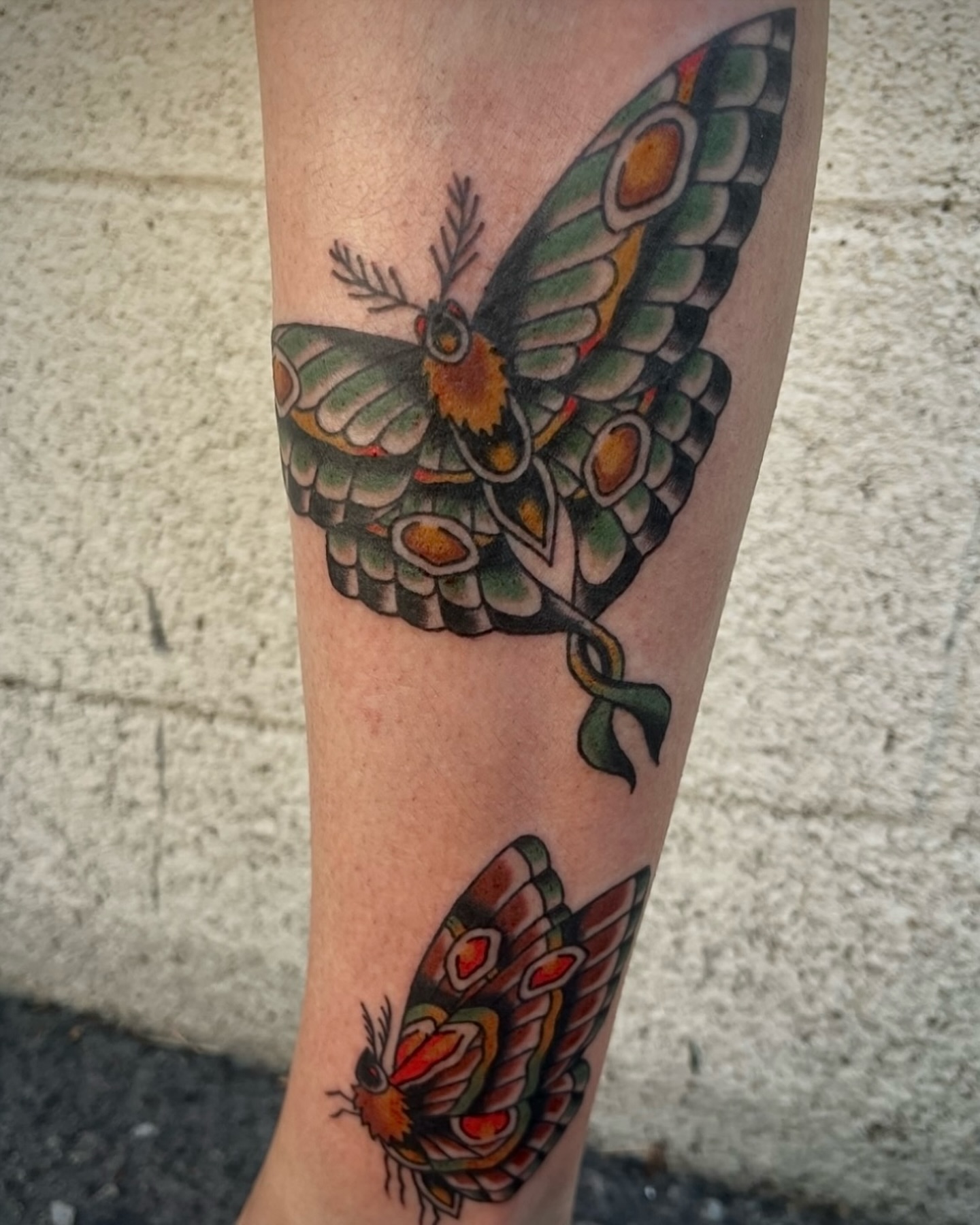 Butterfly American traditional tattoo on the forearm by Tiffani Thompson, San Diego, California