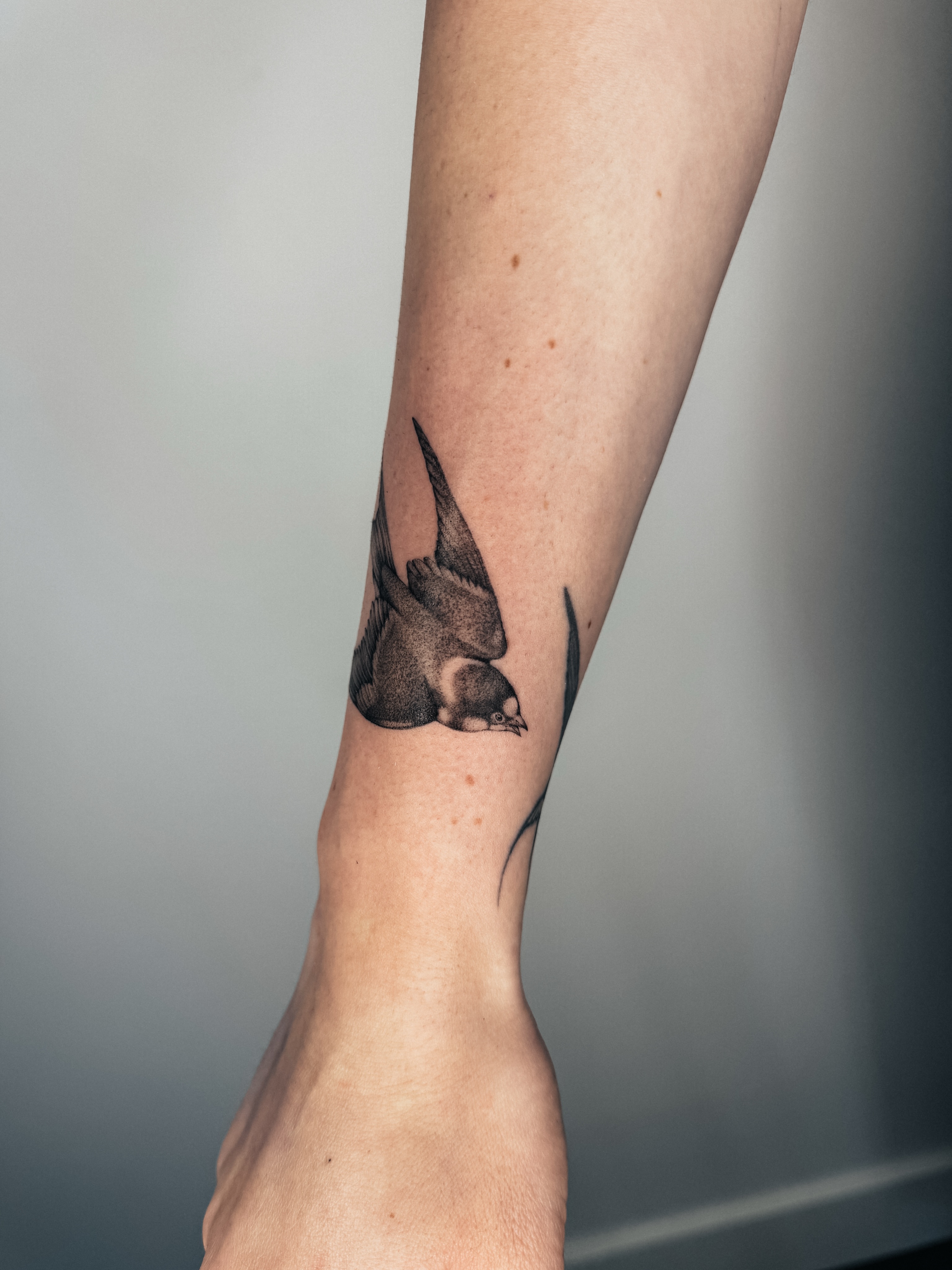 Tattoo by @emma.tattoos — black_and_grey