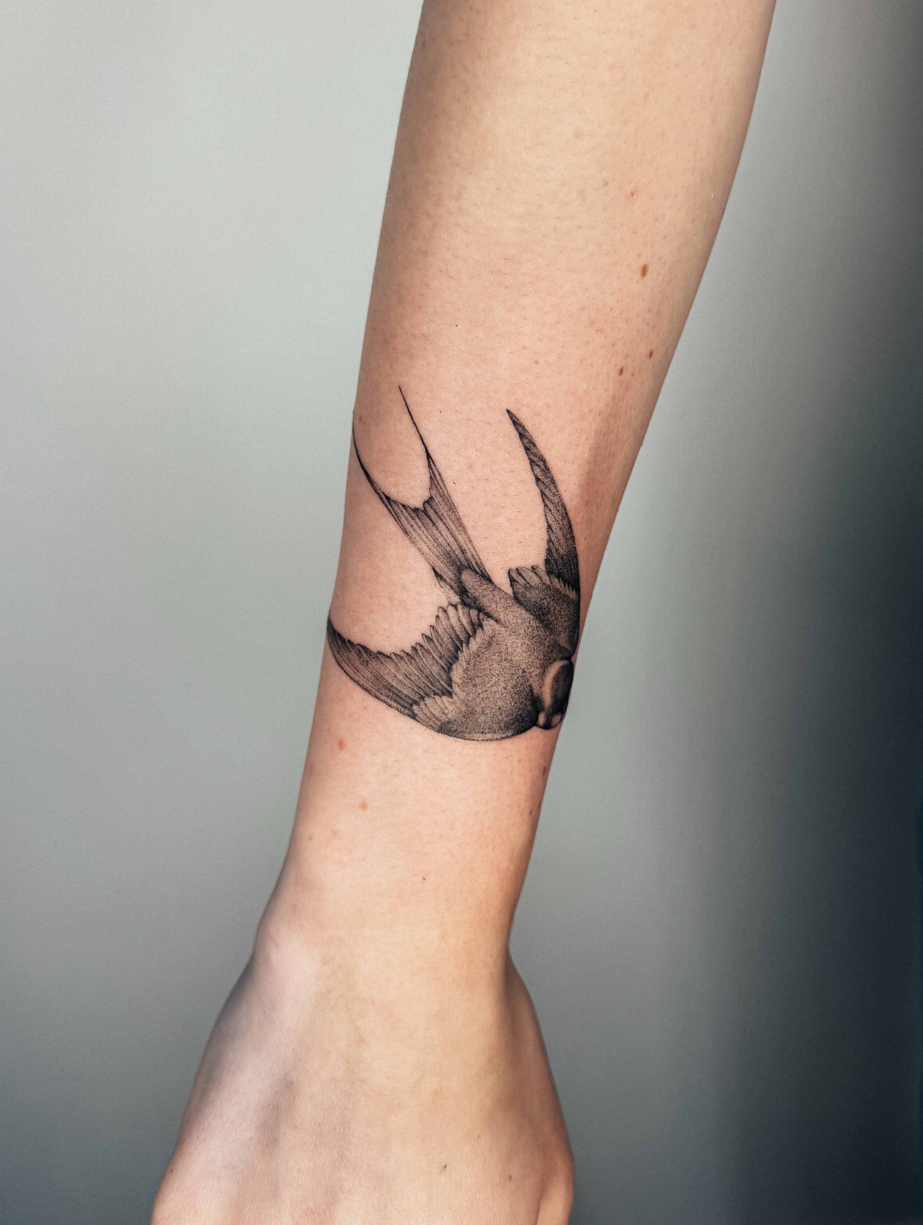Swallow black and grey tattoo on the forearm by Emma- Los Angeles Tattoo Artist