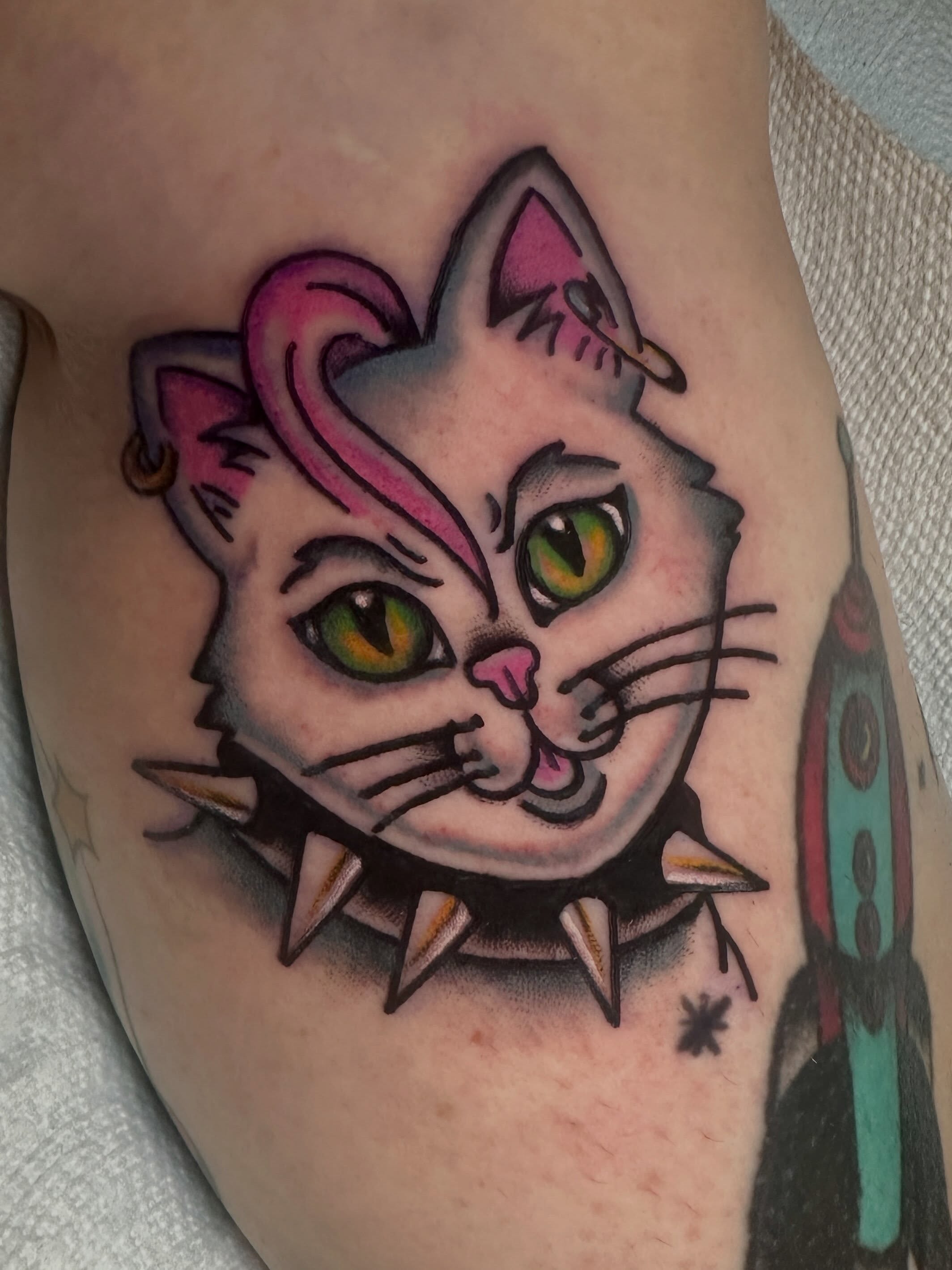 Cat American traditional tattoo on the forearm by Stacey Colangelo