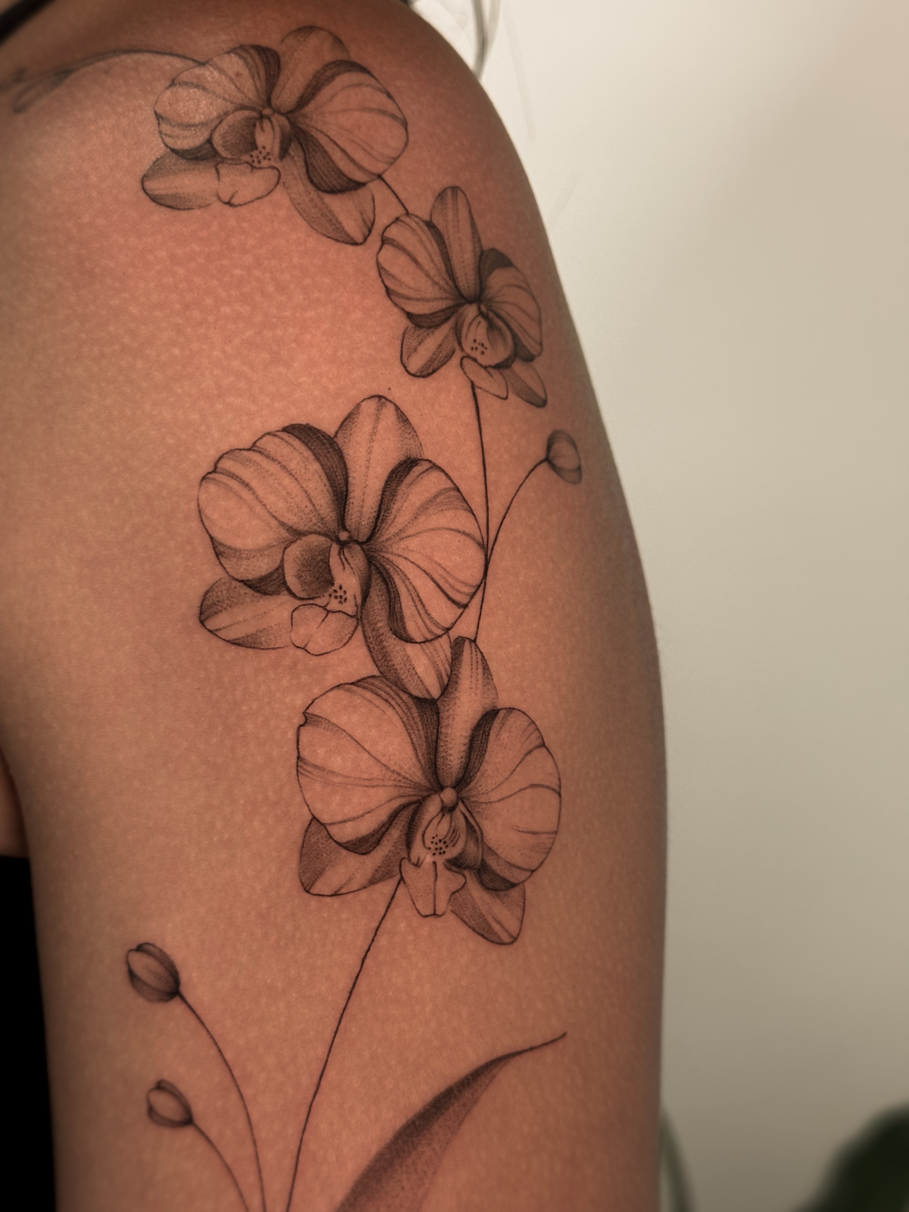 Orchids dotwork tattoo on the shoulder by Gianna Rodriguez