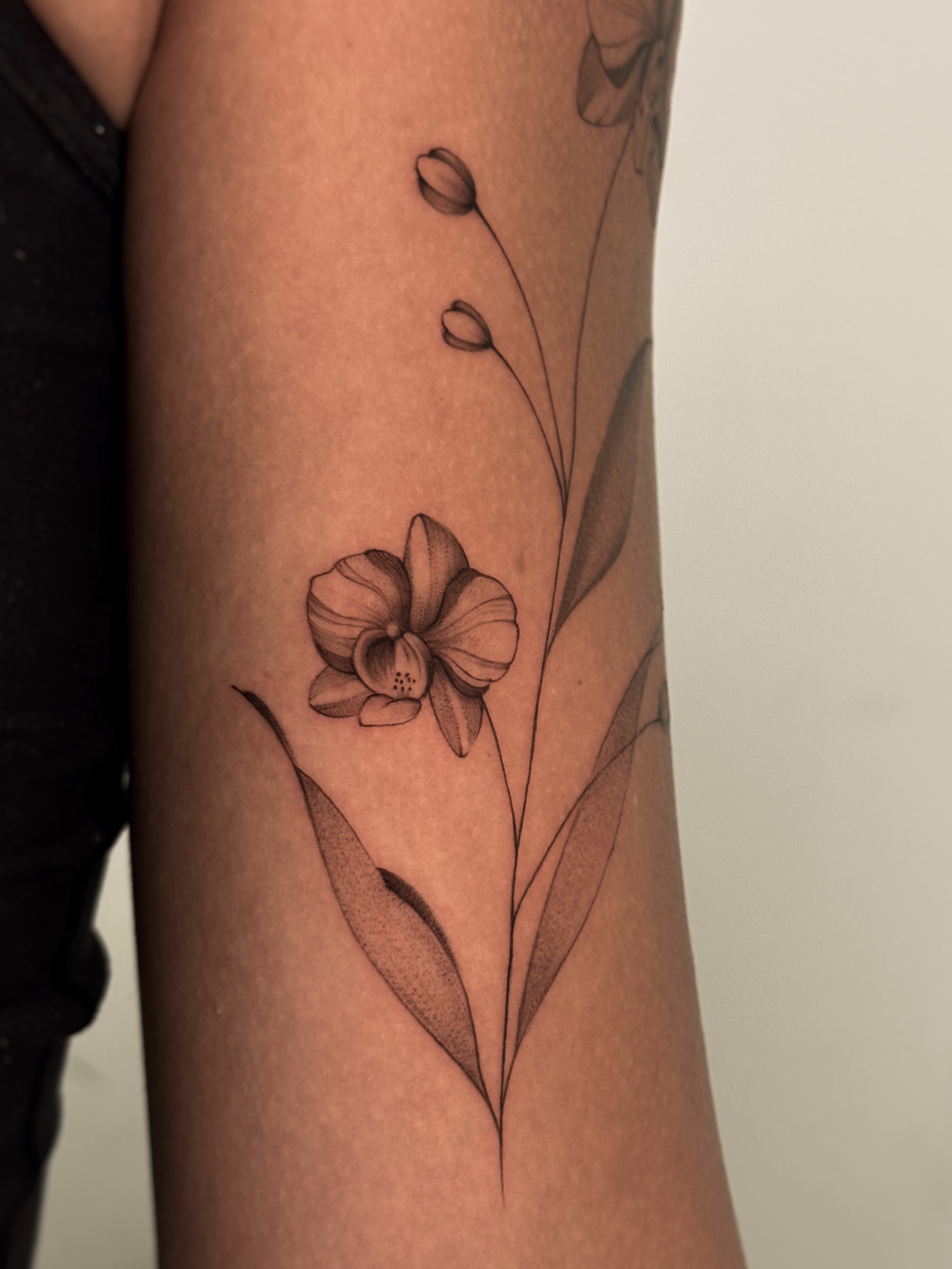 Orchid black and grey tattoo on the forearm by Gianna Rodriguez