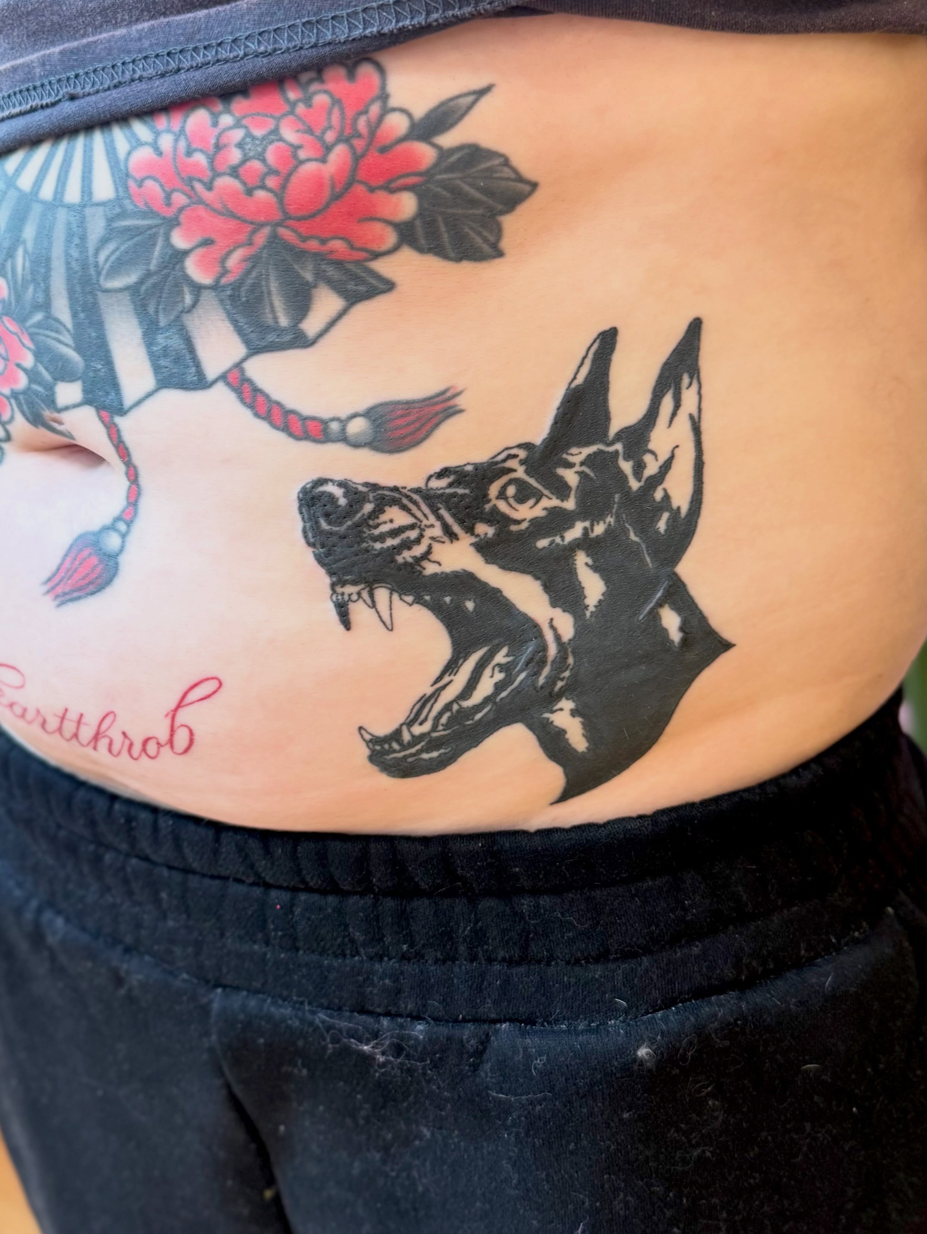 Roaring dog American traditional tattoo by Kelsey Lynn▪️Raleigh Tattoo Artist