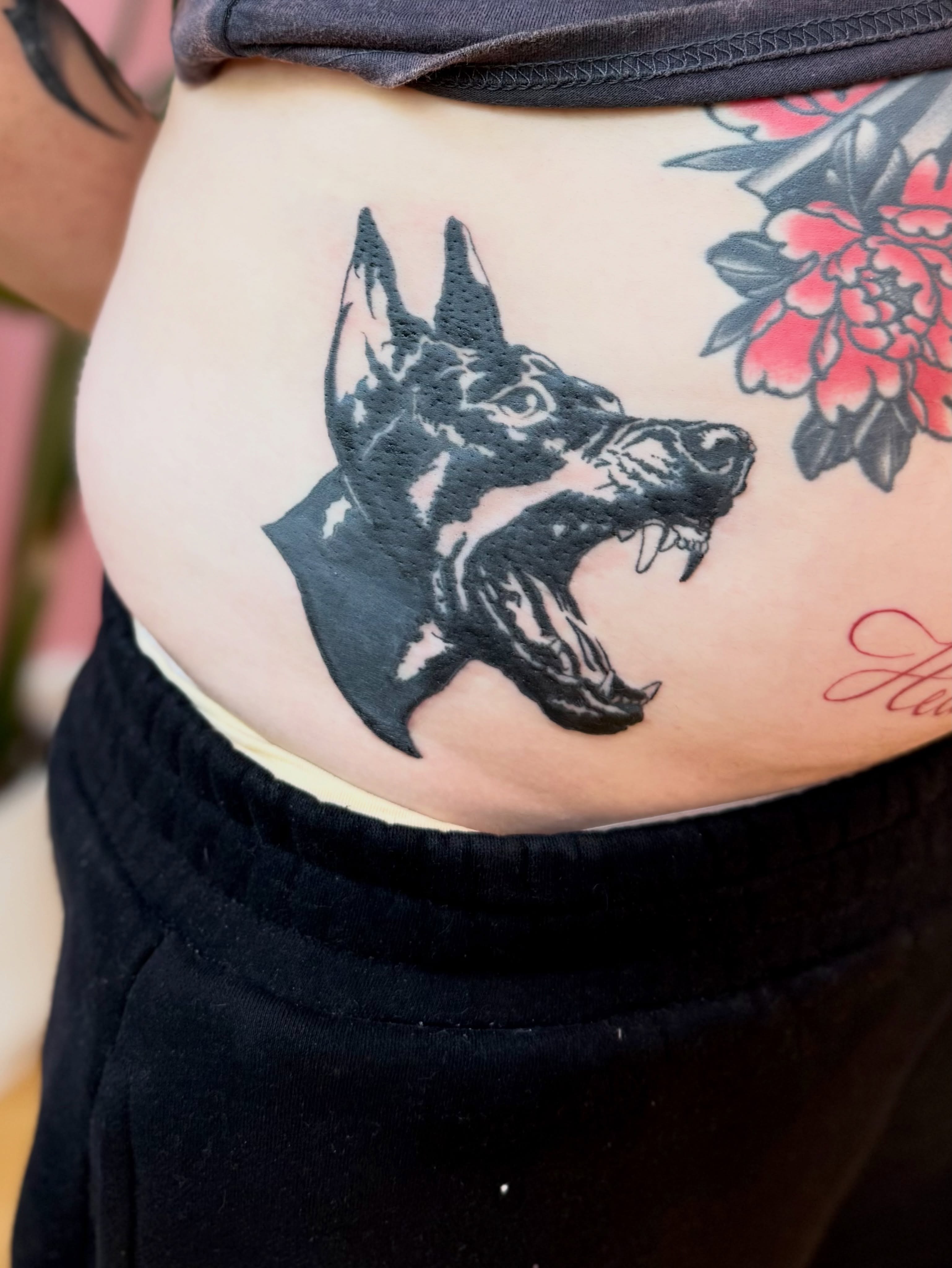 Doberman black and grey tattoo on the ribs by Kelsey Lynn▪️Raleigh Tattoo Artist