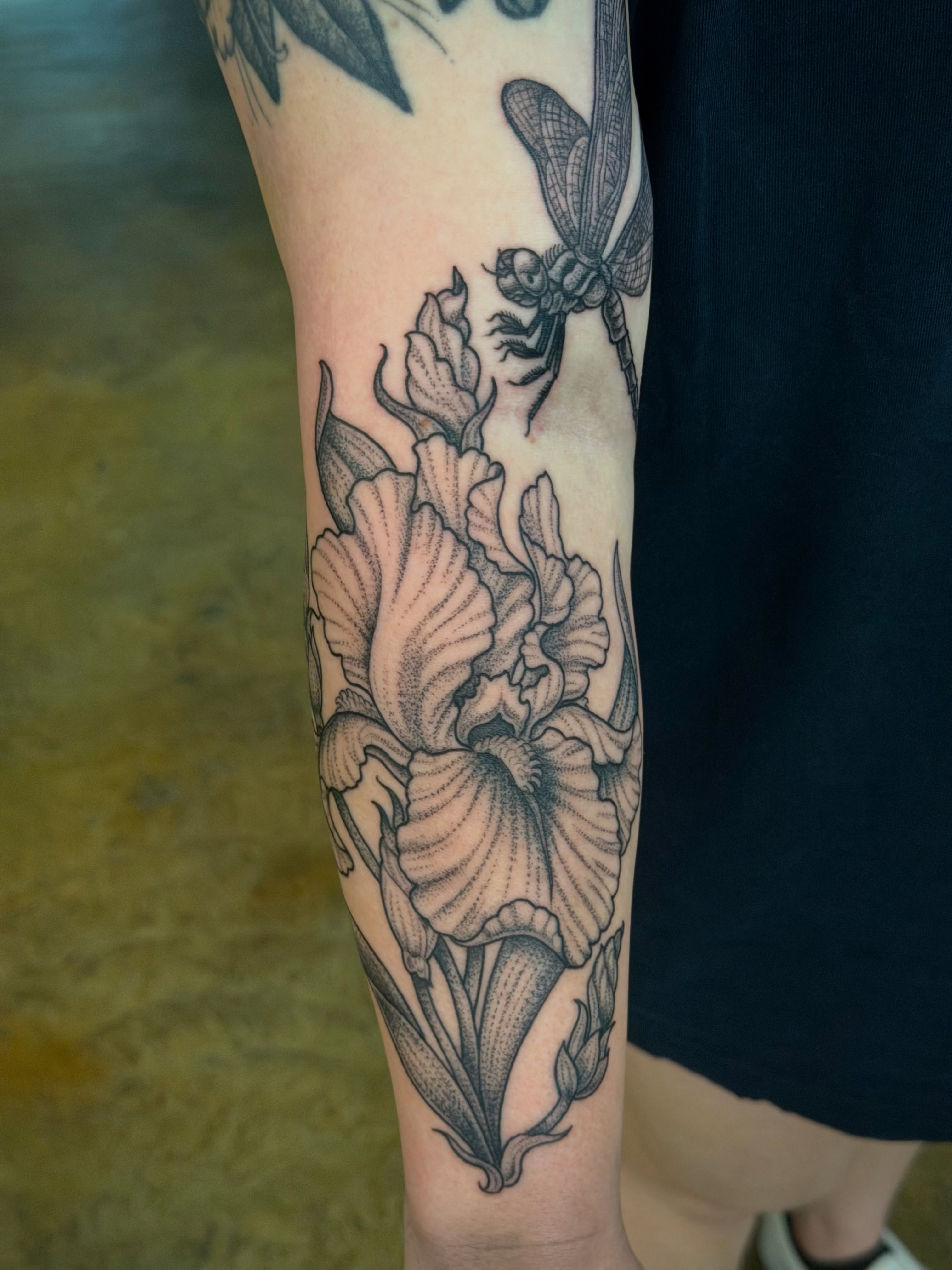 Iris flowers and dragonfly dotwork tattoo on the forearm by Thad Collis