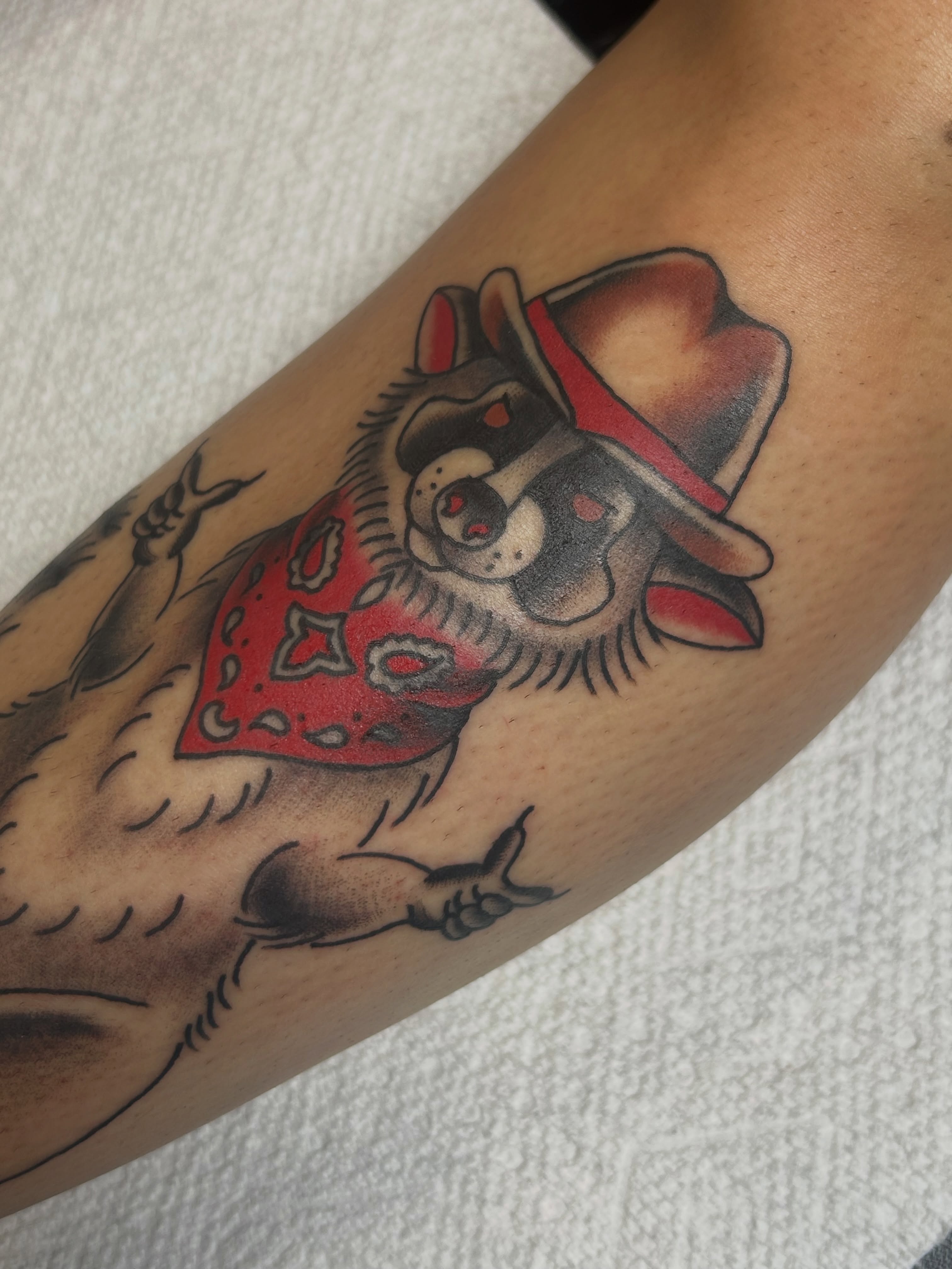 Tattoo by @umbra.capra.tatts — american_traditional