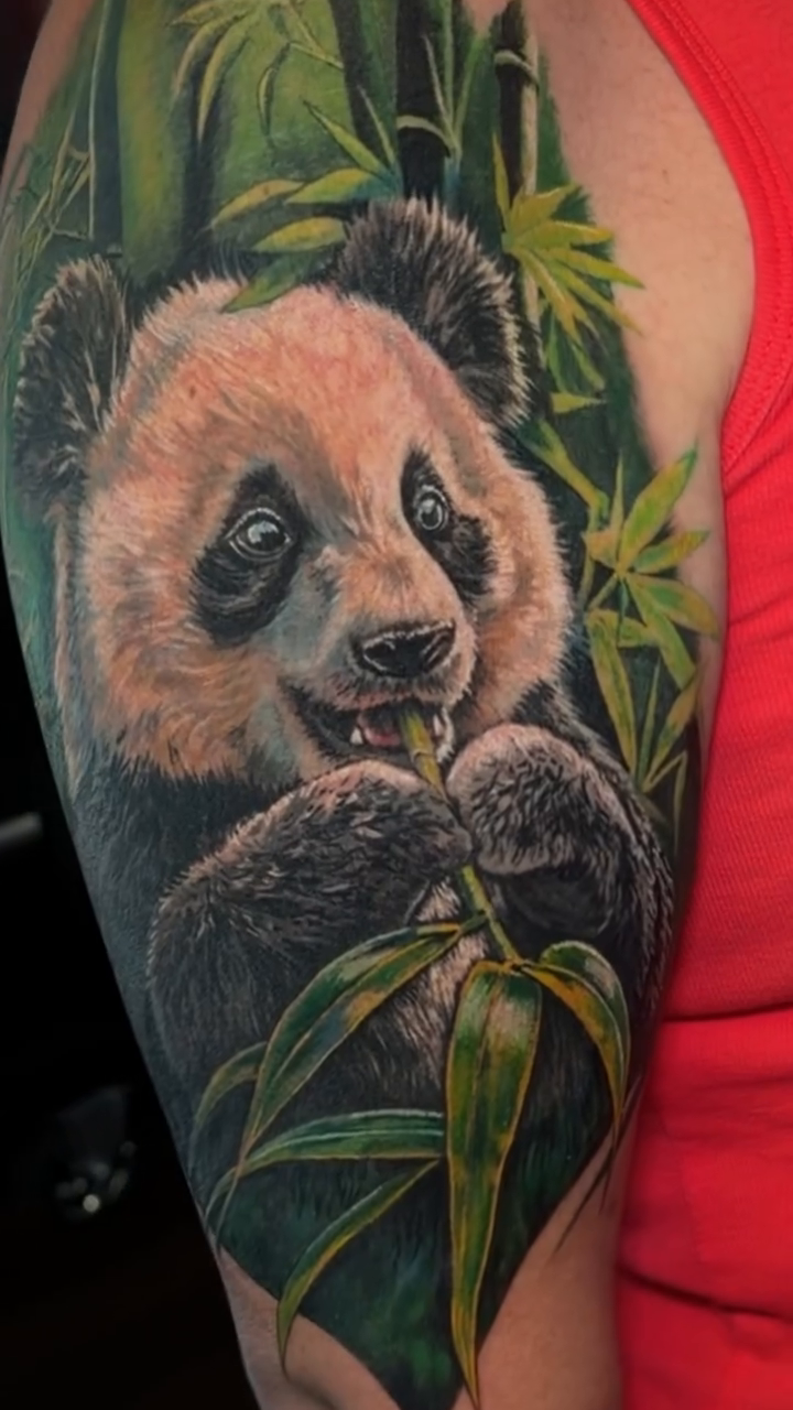 Panda and bamboo realism tattoo by Simon Pouliot