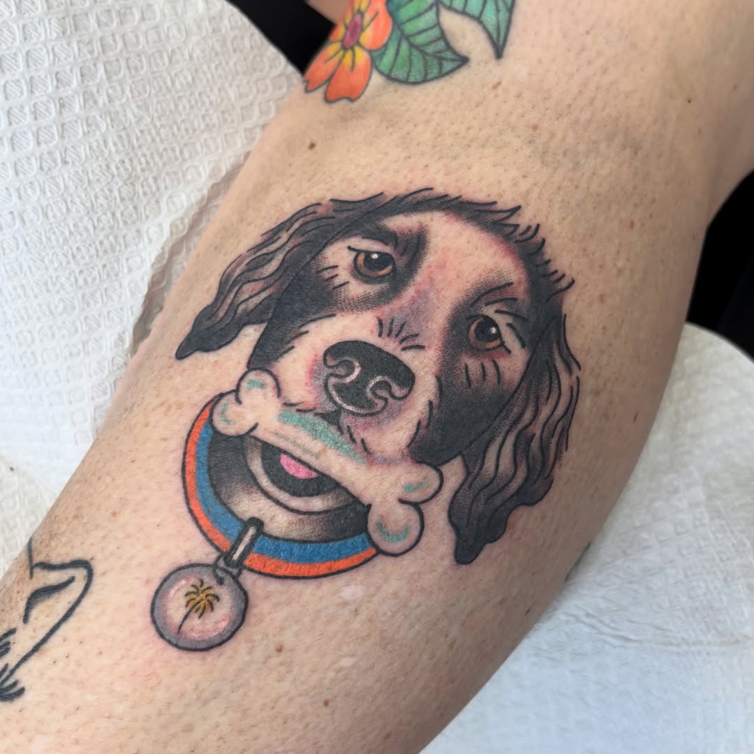 Dog with bone American traditional tattoo on the forearm by Taylor  Thompson