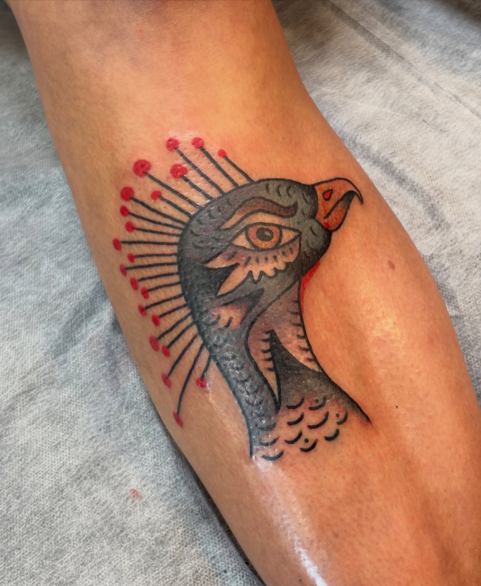Bird American traditional tattoo on the forearm by Sammy Tattoo, Austin, Texas