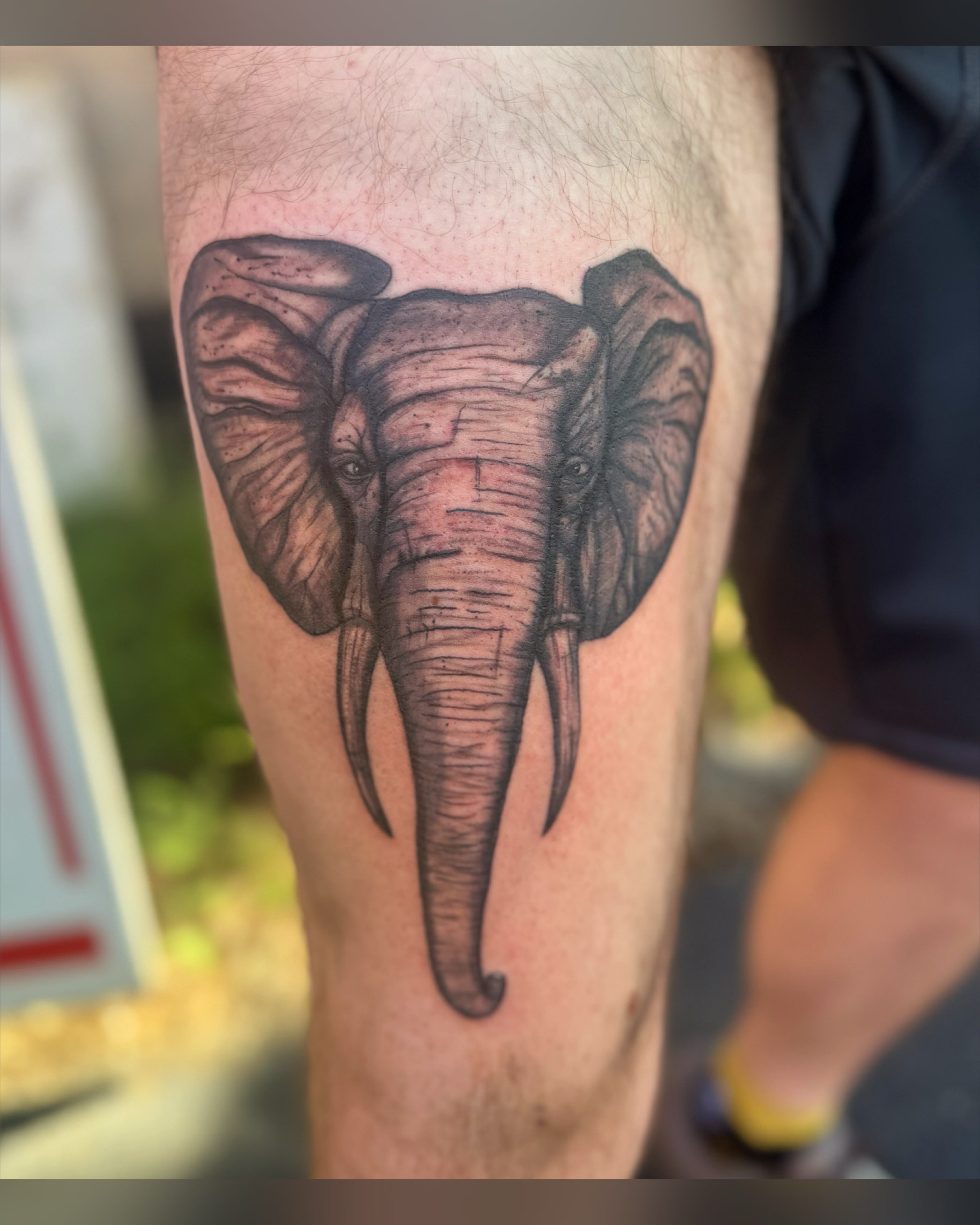 Elephant realism tattoo on the thigh by Chris Adkins Tattoos, Chattanooga, Tennessee