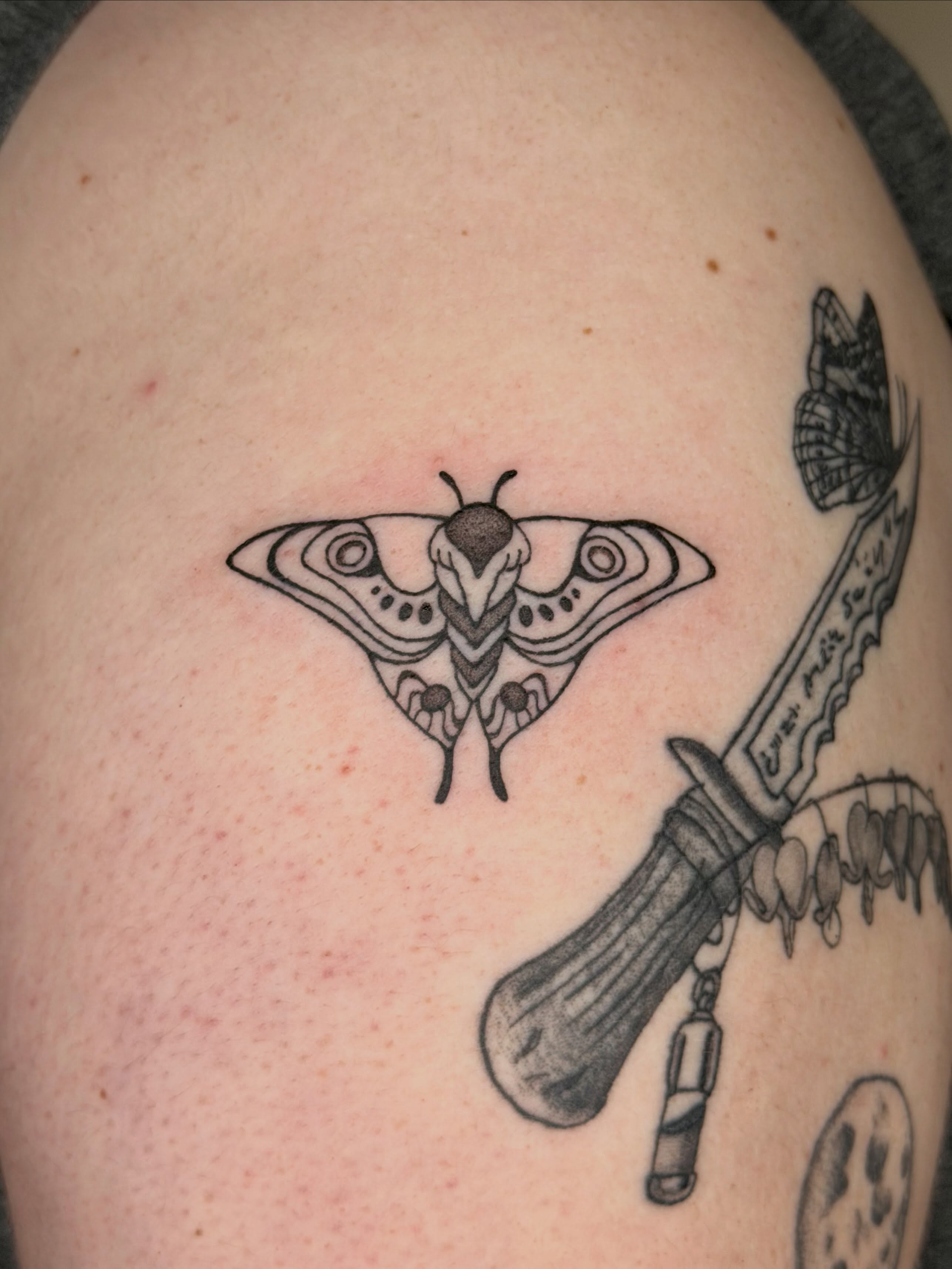 Moth and knife black and grey tattoo on the shoulder by Ava Williams