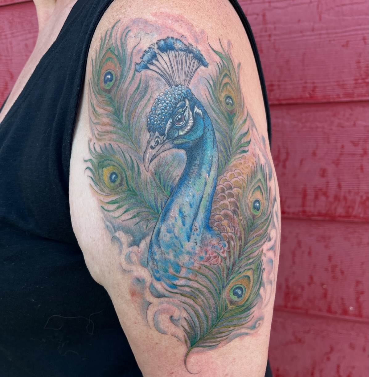 Peacock realism tattoo on the shoulder by Timmy