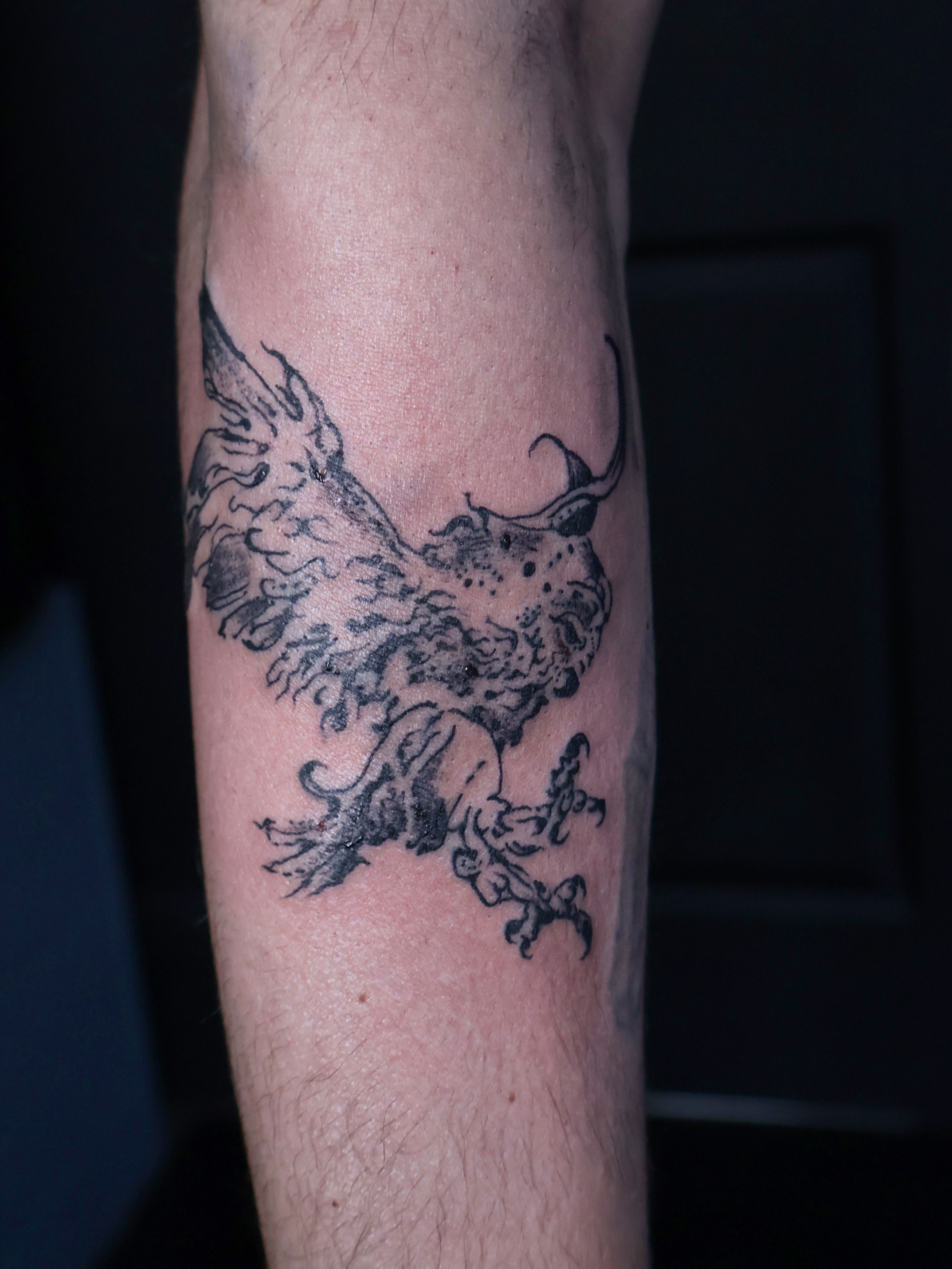 Phoenix black and grey tattoo on the forearm by Denis Du Preez, East Williamsburg, Brooklyn
