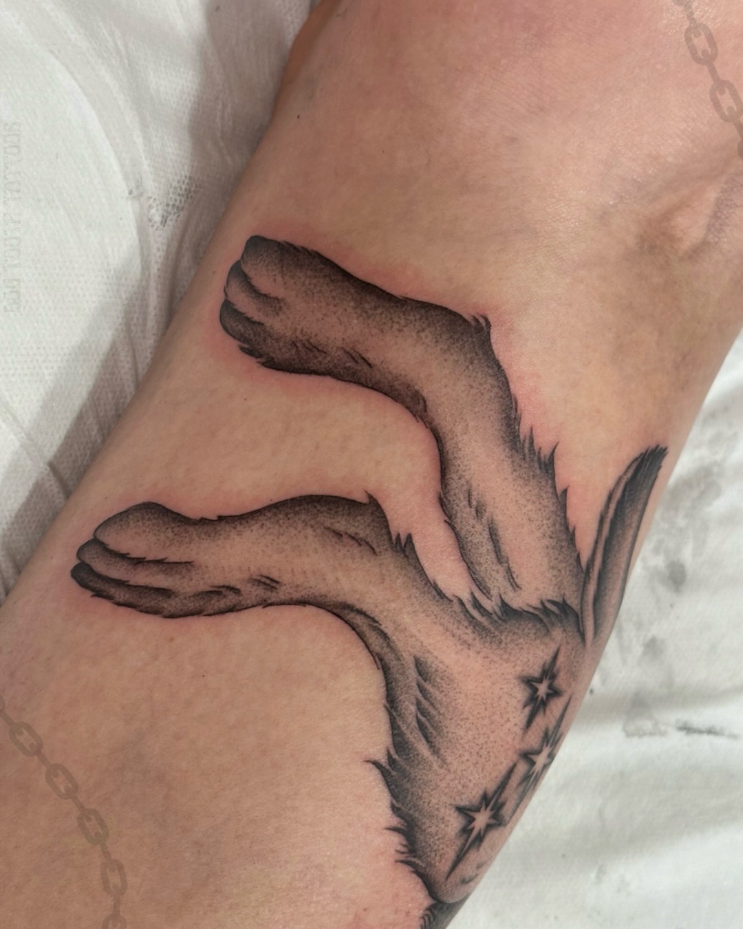 Tattoo by @dogtoothtattoos — black_and_grey