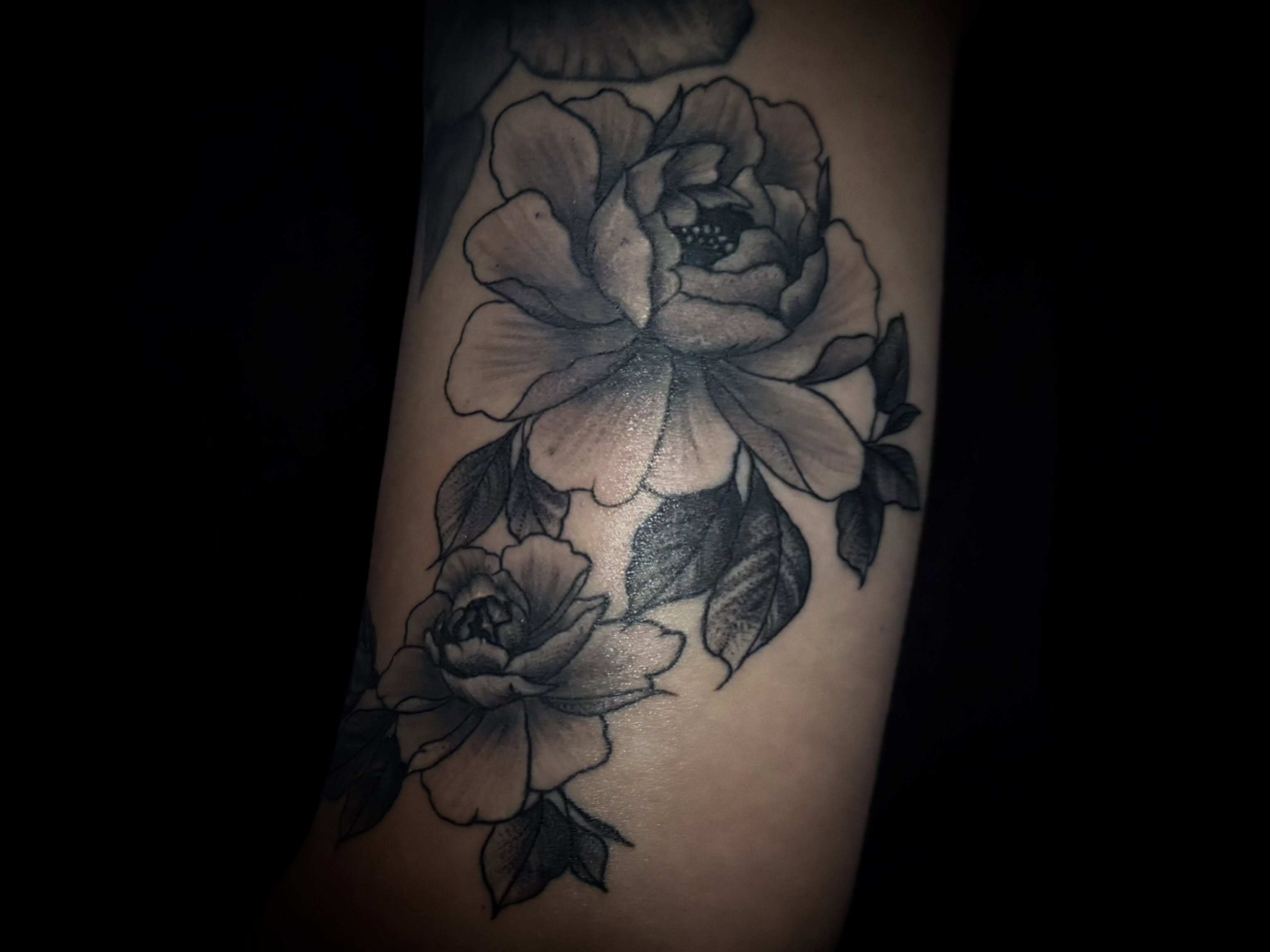 Peony flowers black and grey tattoo on the forearm by C. Compa
