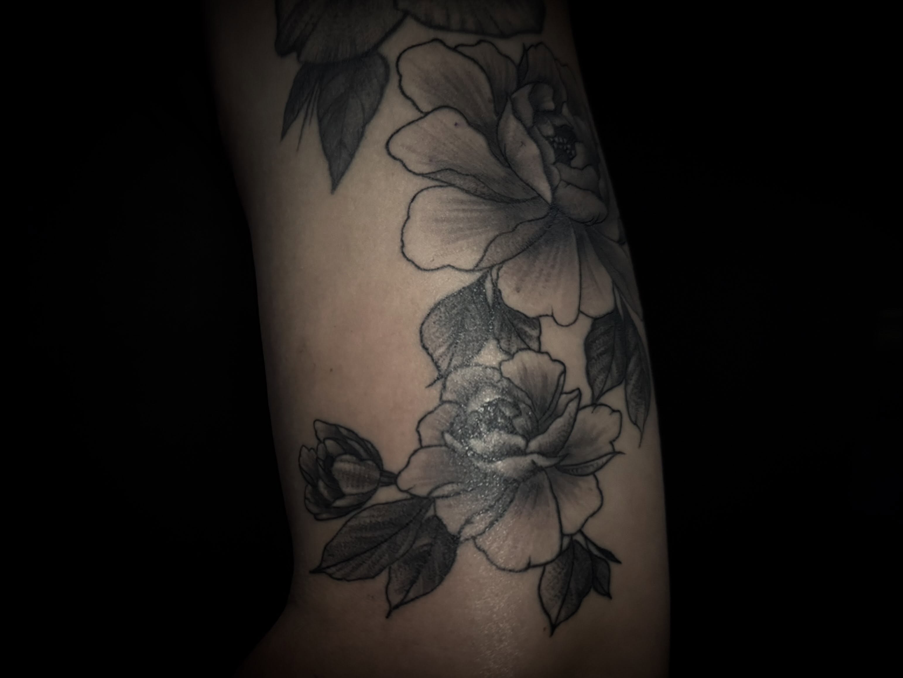 Peony flowers black and grey tattoo on the forearm by C. Compa