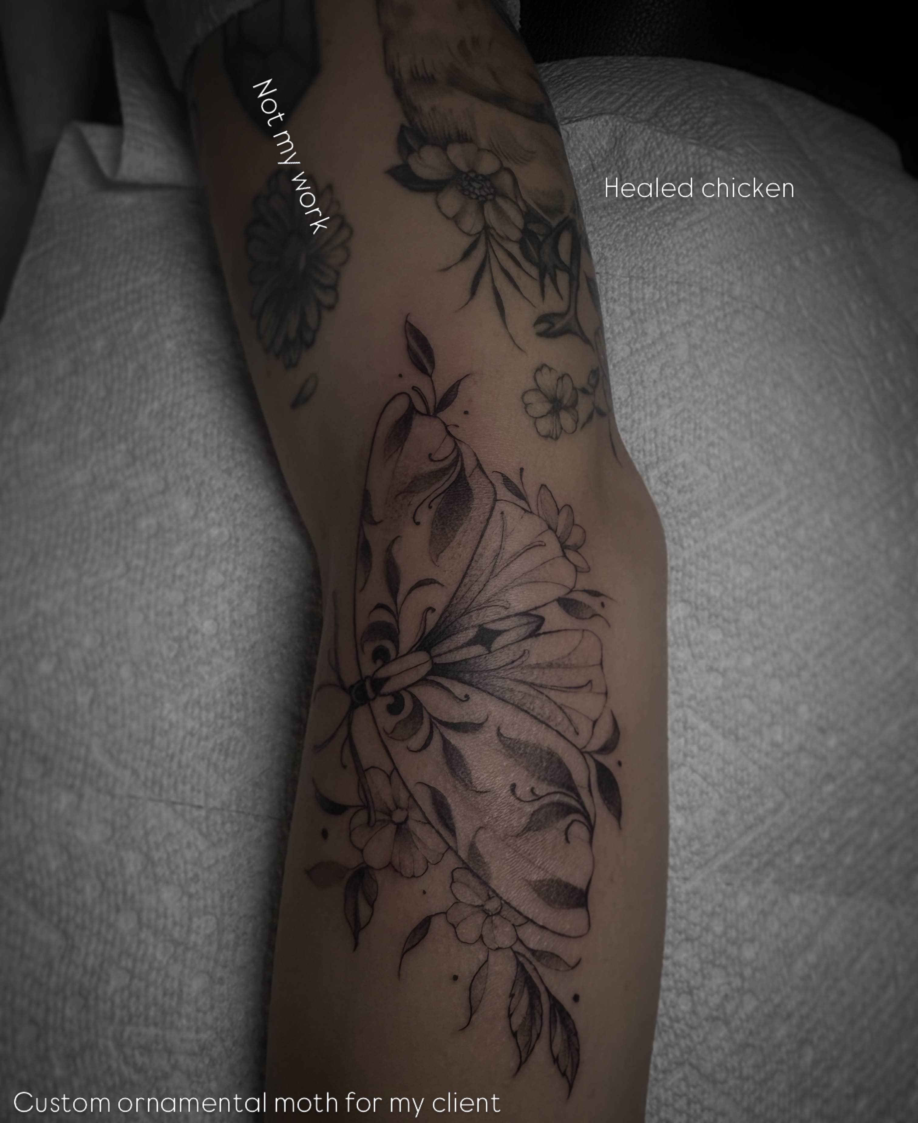 Ornamental moth ornamental tattoo on the forearm by Lena Lawrence