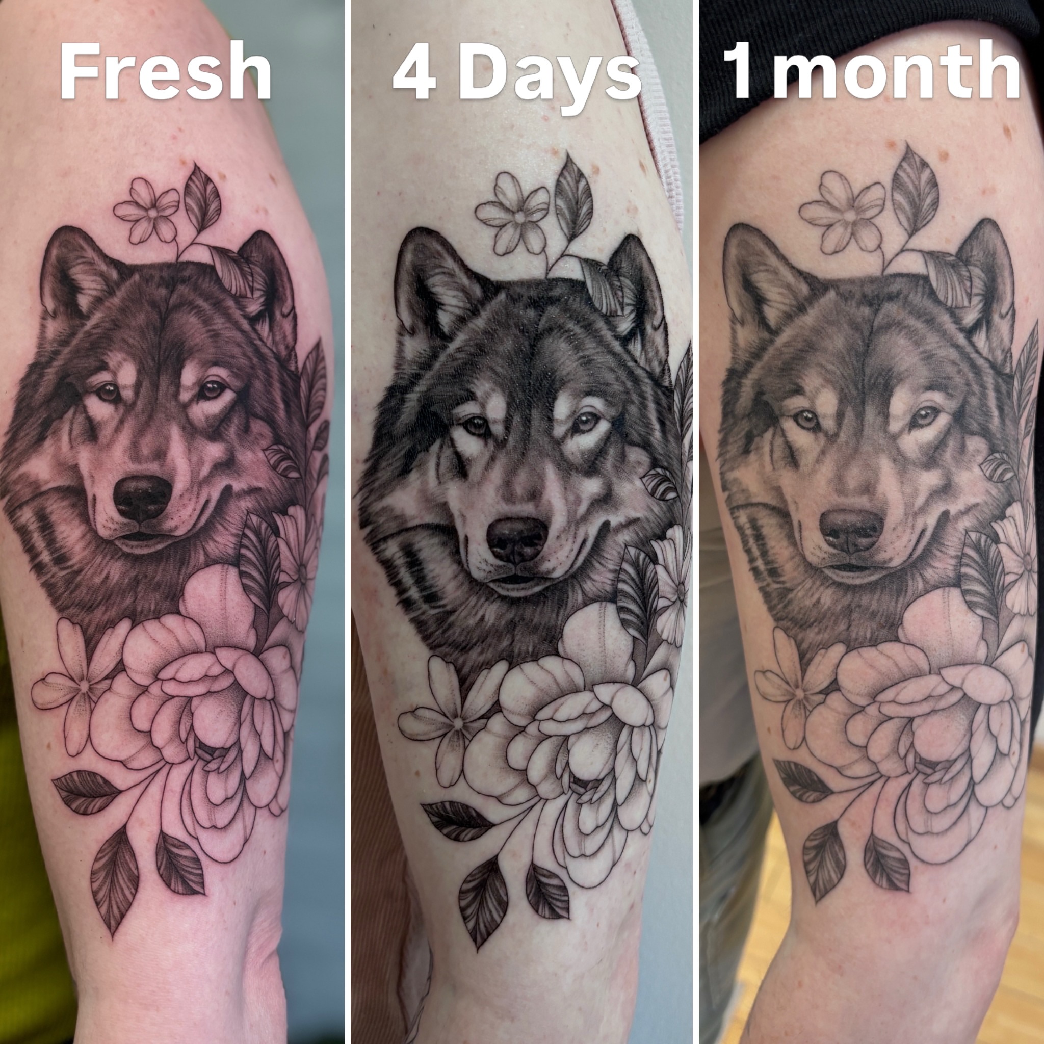 Tattoo by @amp.tattoos — black_and_grey, realism