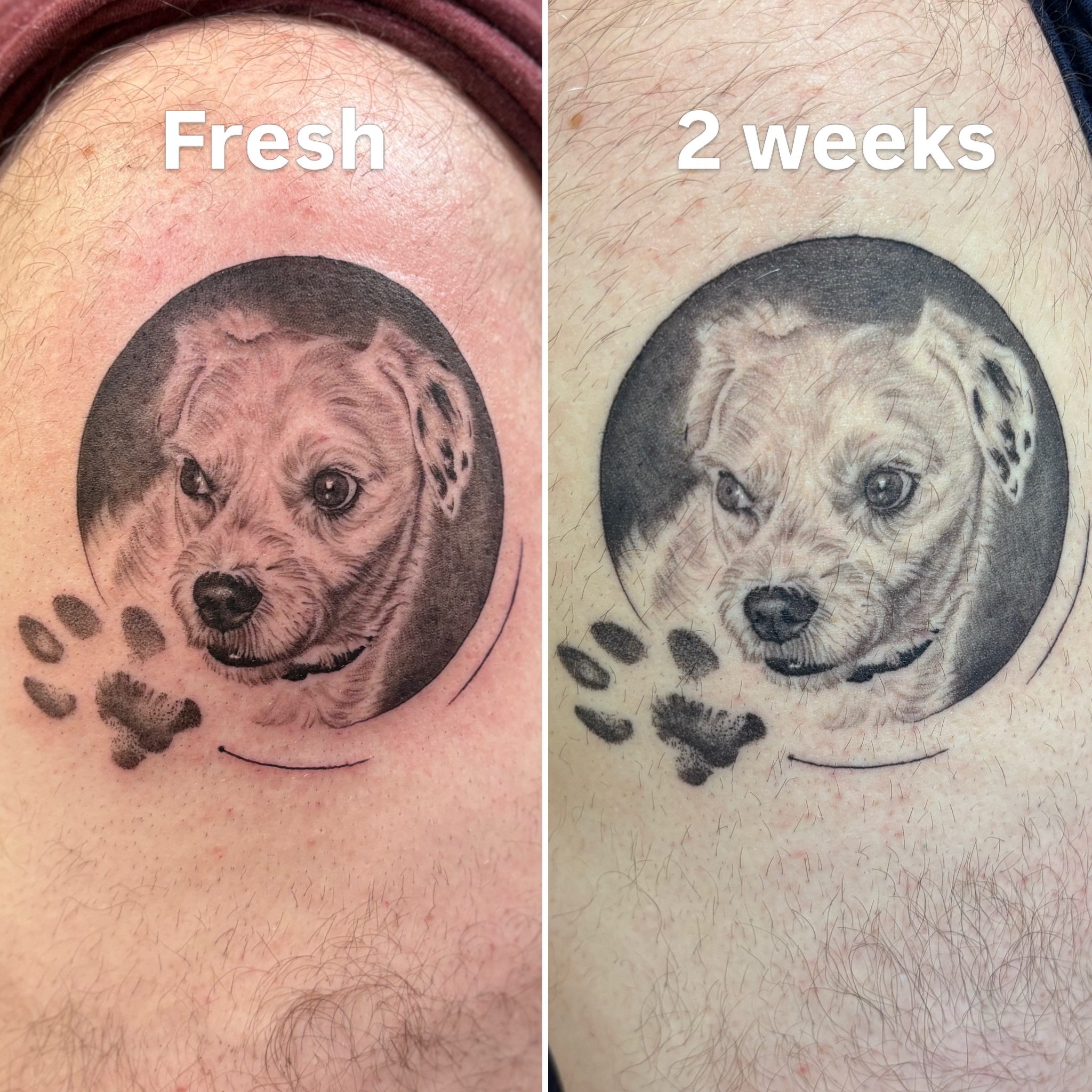 Tattoo by @amp.tattoos — realism