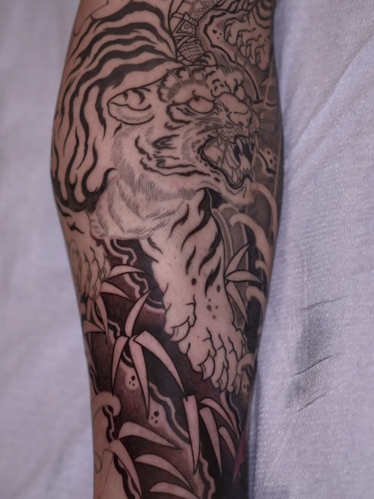 Tiger japanese irezumi tattoo on the forearm by zamix_traditional, San Francisco, California