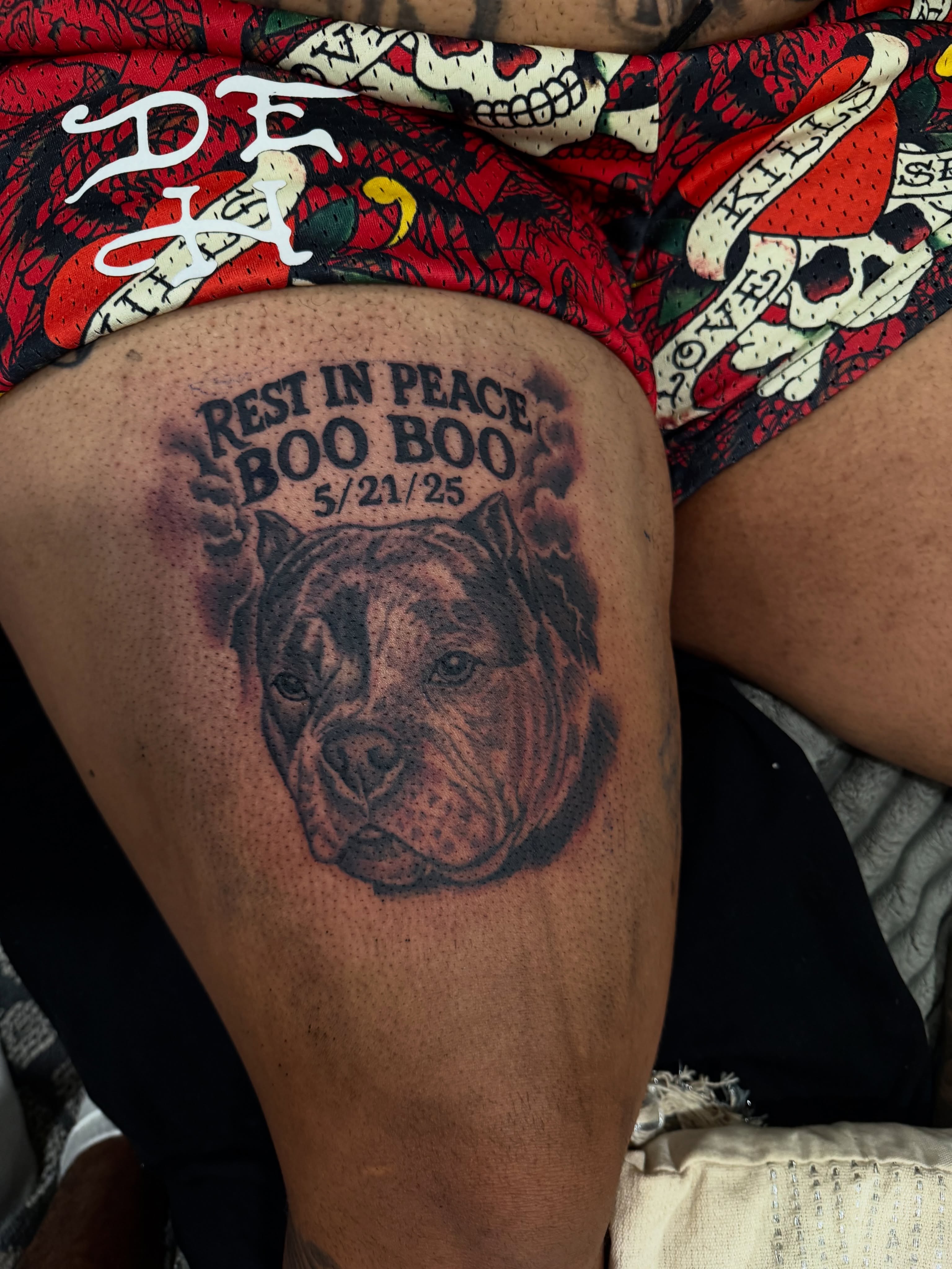 Pit bull dotwork tattoo on the thigh by Lamb, Philadelphia, Pennsylvania