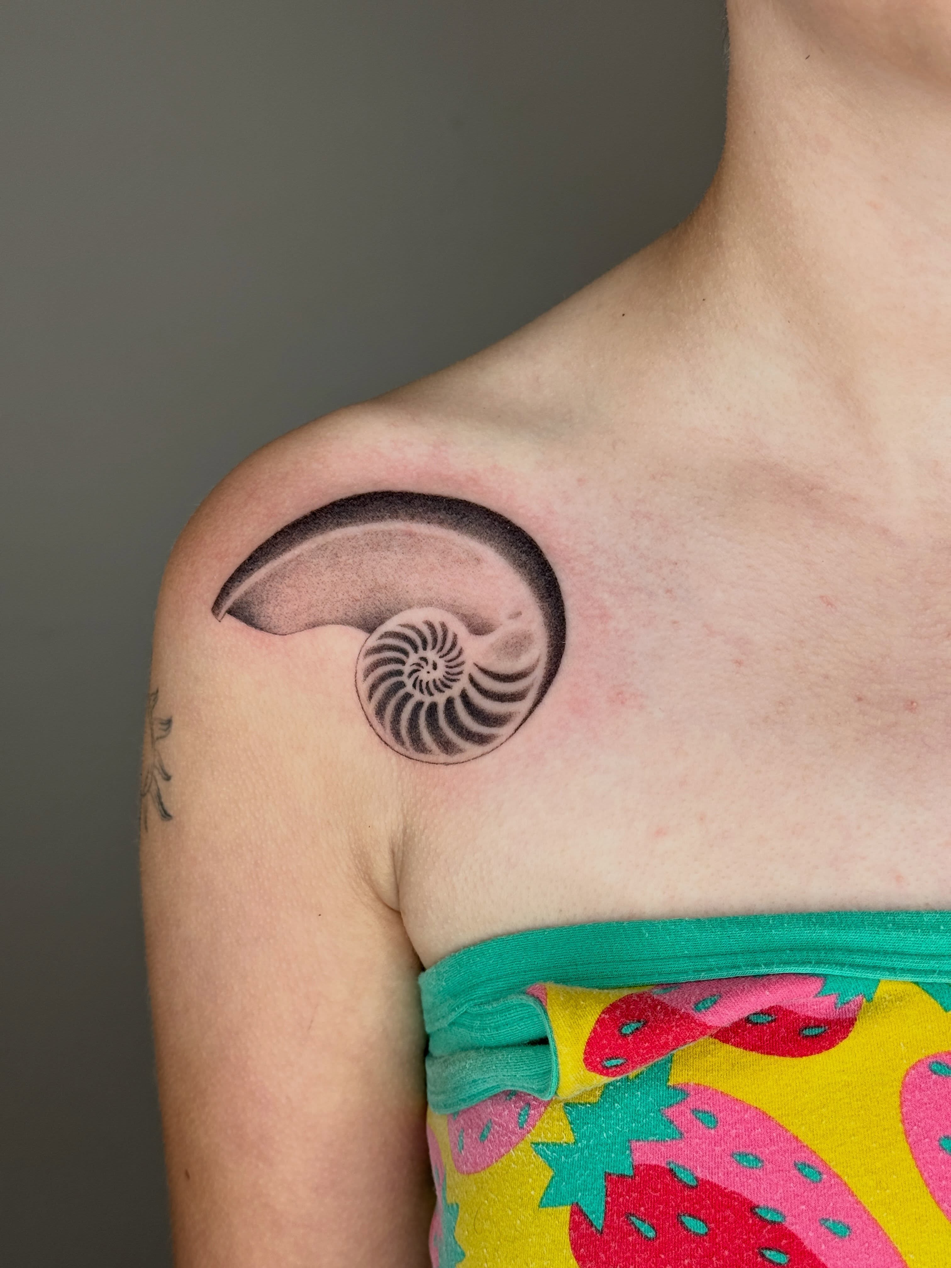 Nautilus shell black and grey tattoo on the shoulder by Monica Reynolds