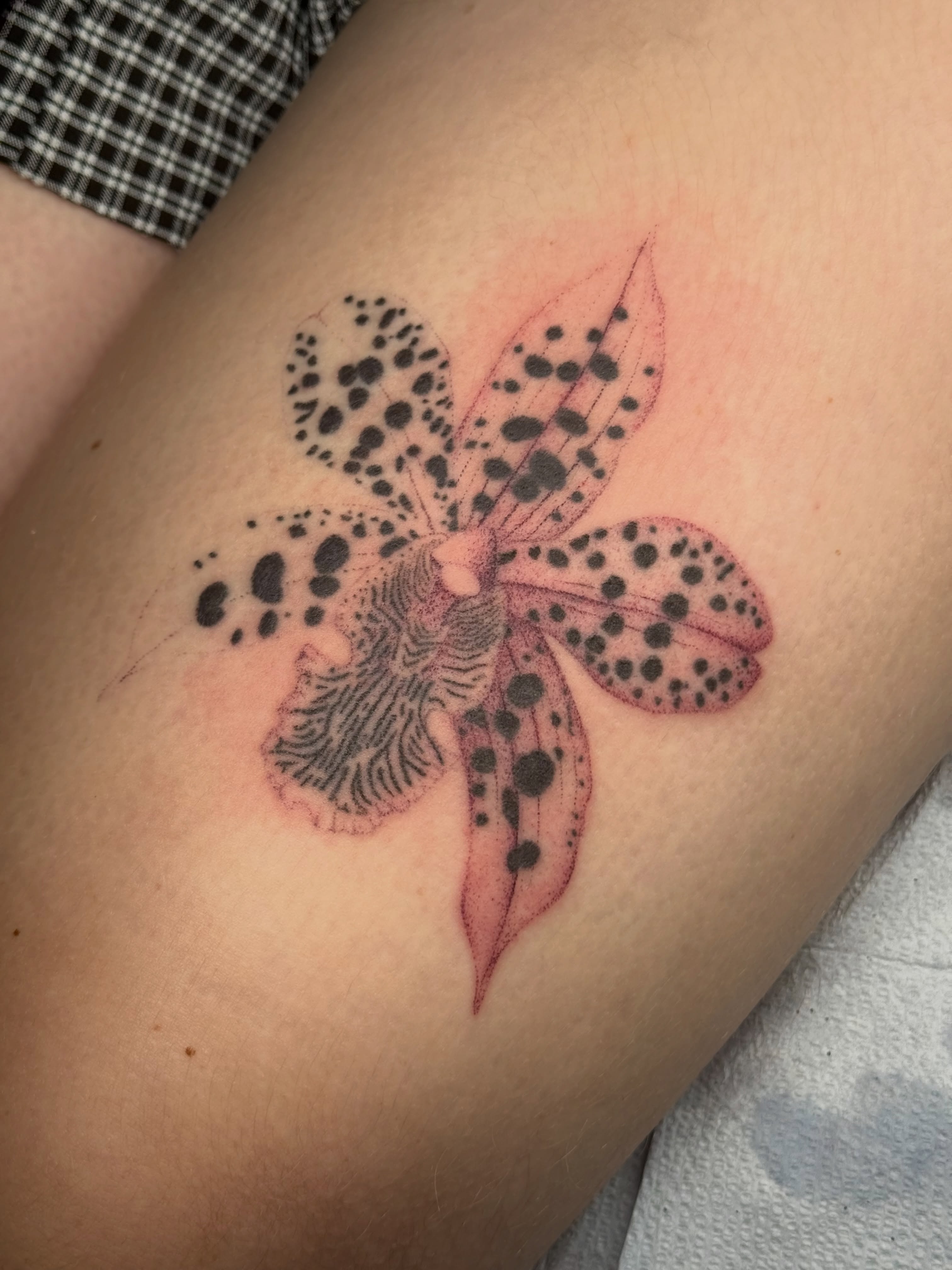 Orchid dotwork tattoo on the thigh by Handpoke Tattoo Artist, Minneapolis, Minnesota