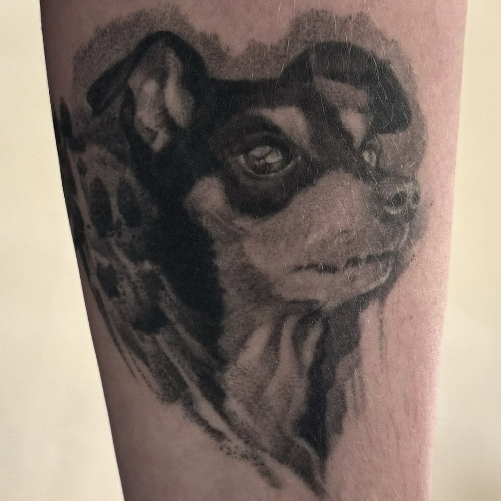 Dog realism tattoo on the forearm by Mandi Marie, Charlotte, North Carolina