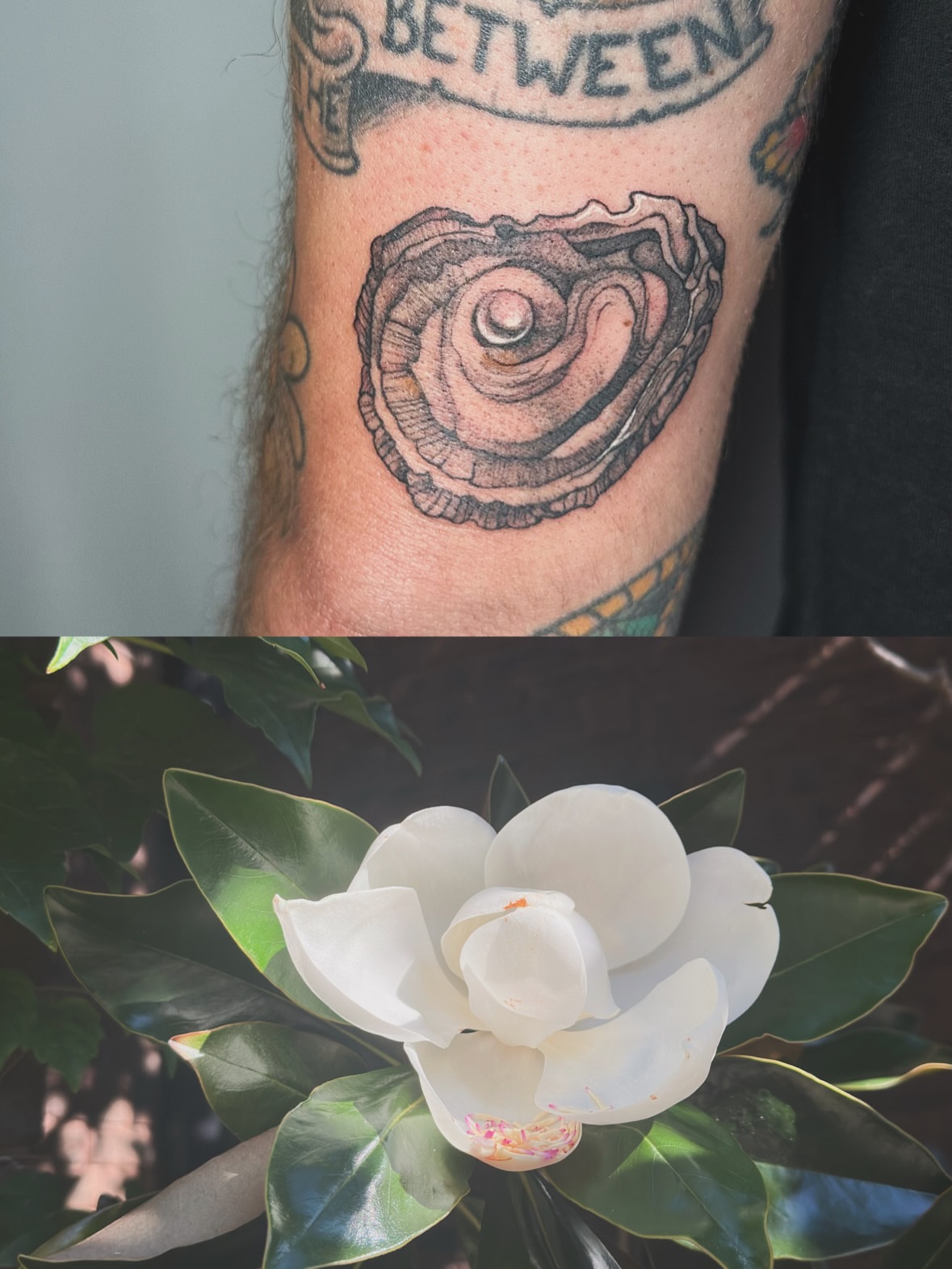 Shell black and grey tattoo on the forearm by Sadie Spades Philly Tattoos