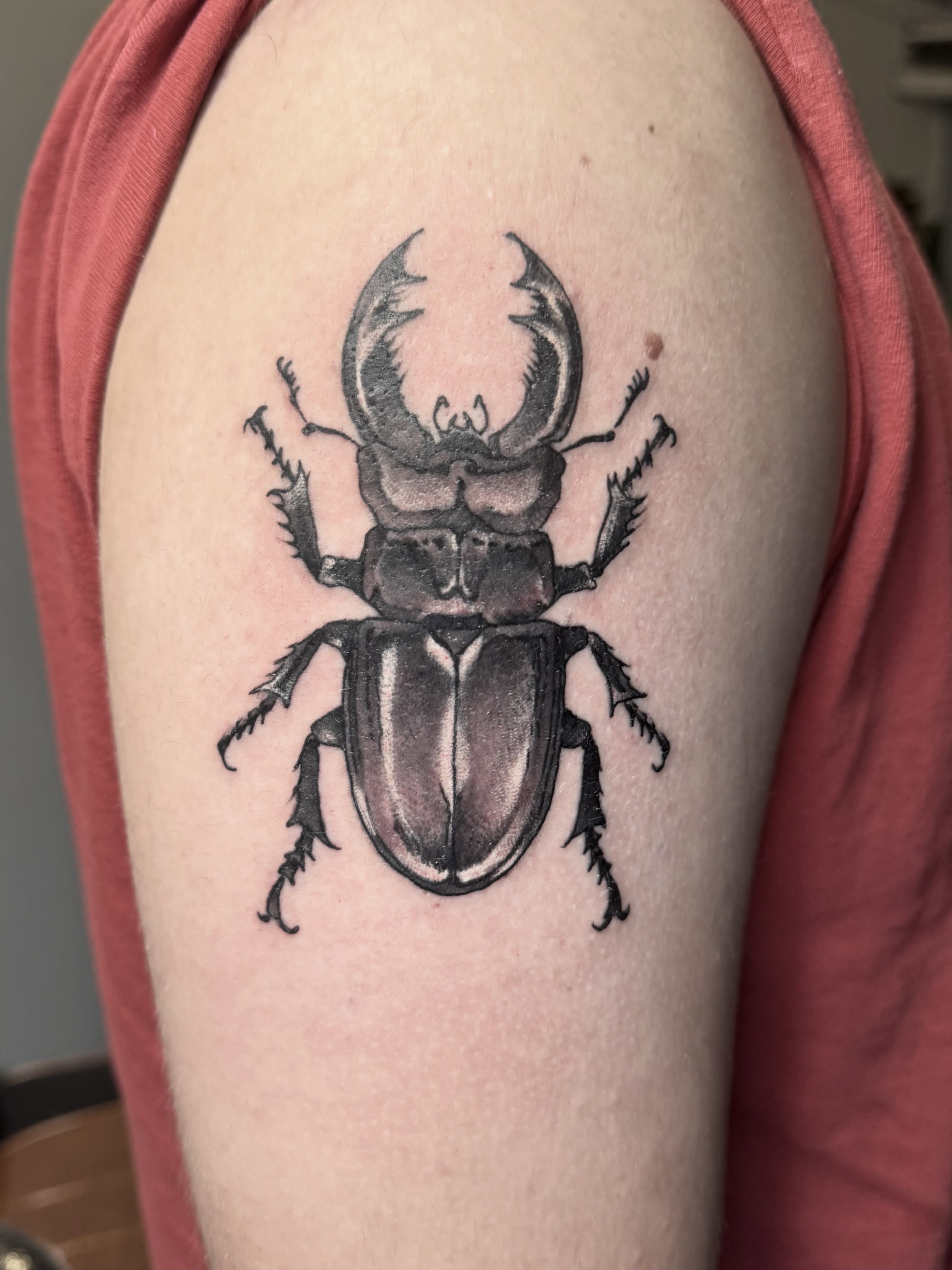 Stag beetle black and grey tattoo on the shoulder by Mike Bean, Minneapolis, Minnesota