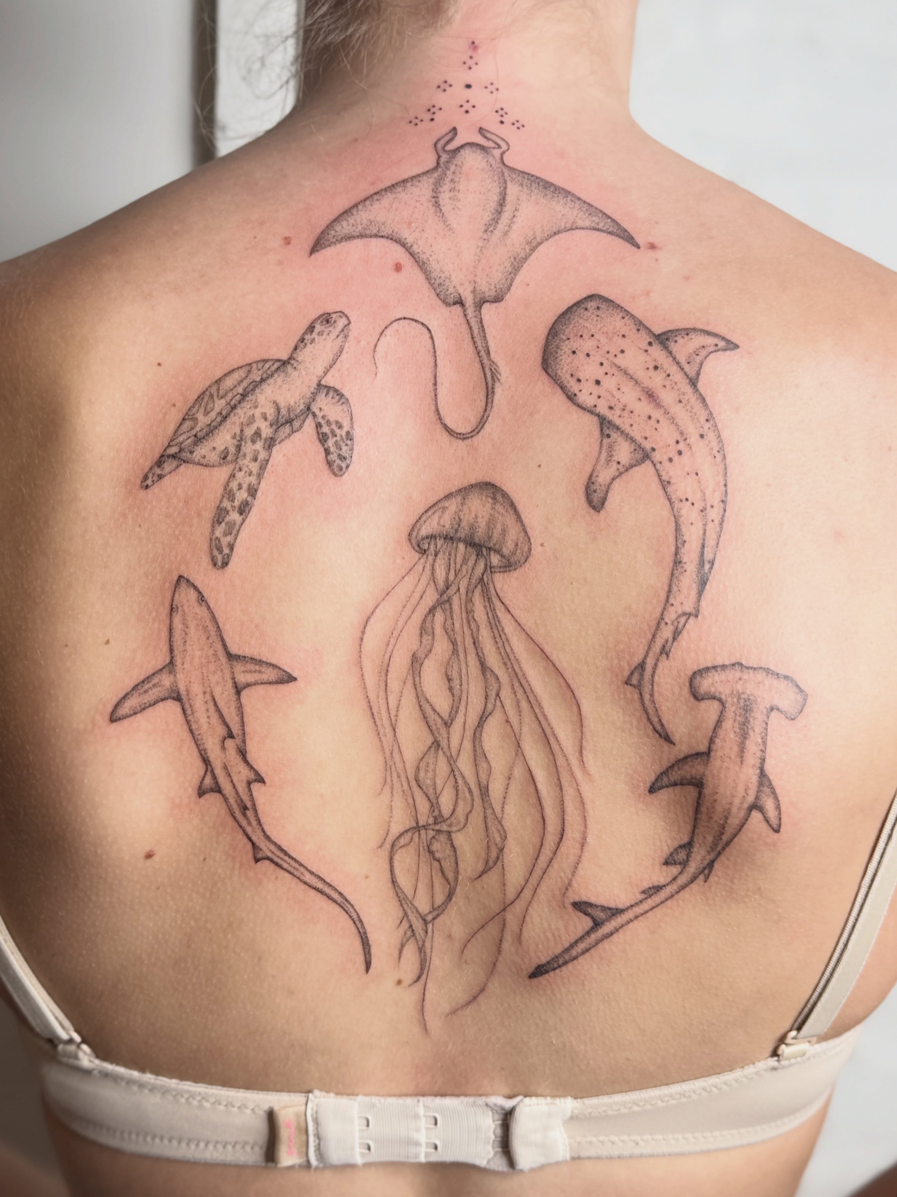 Marine life black and grey tattoo on the back by Dama