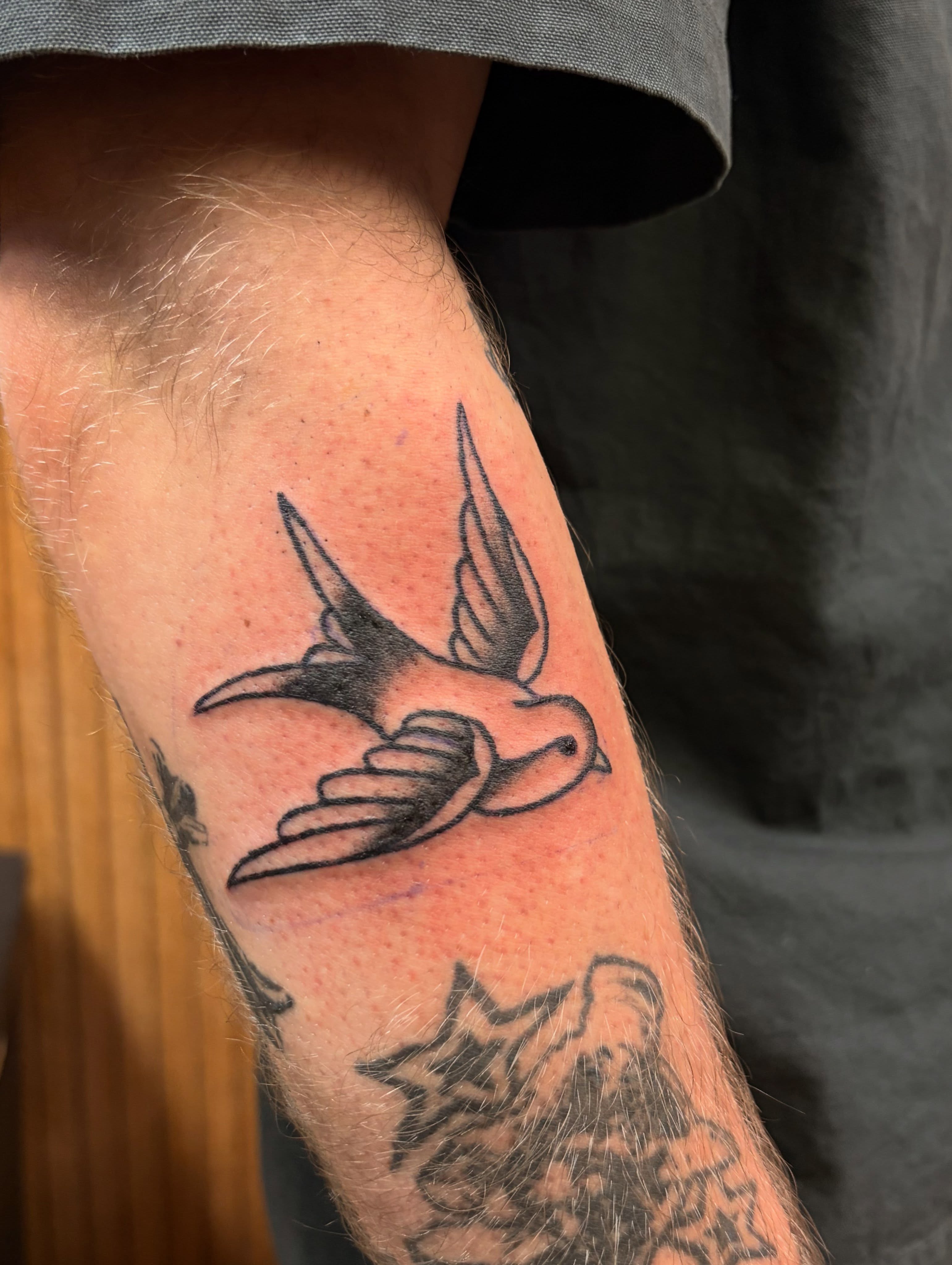 Swallow black and grey tattoo on the forearm by J❄️, Portland, Oregon