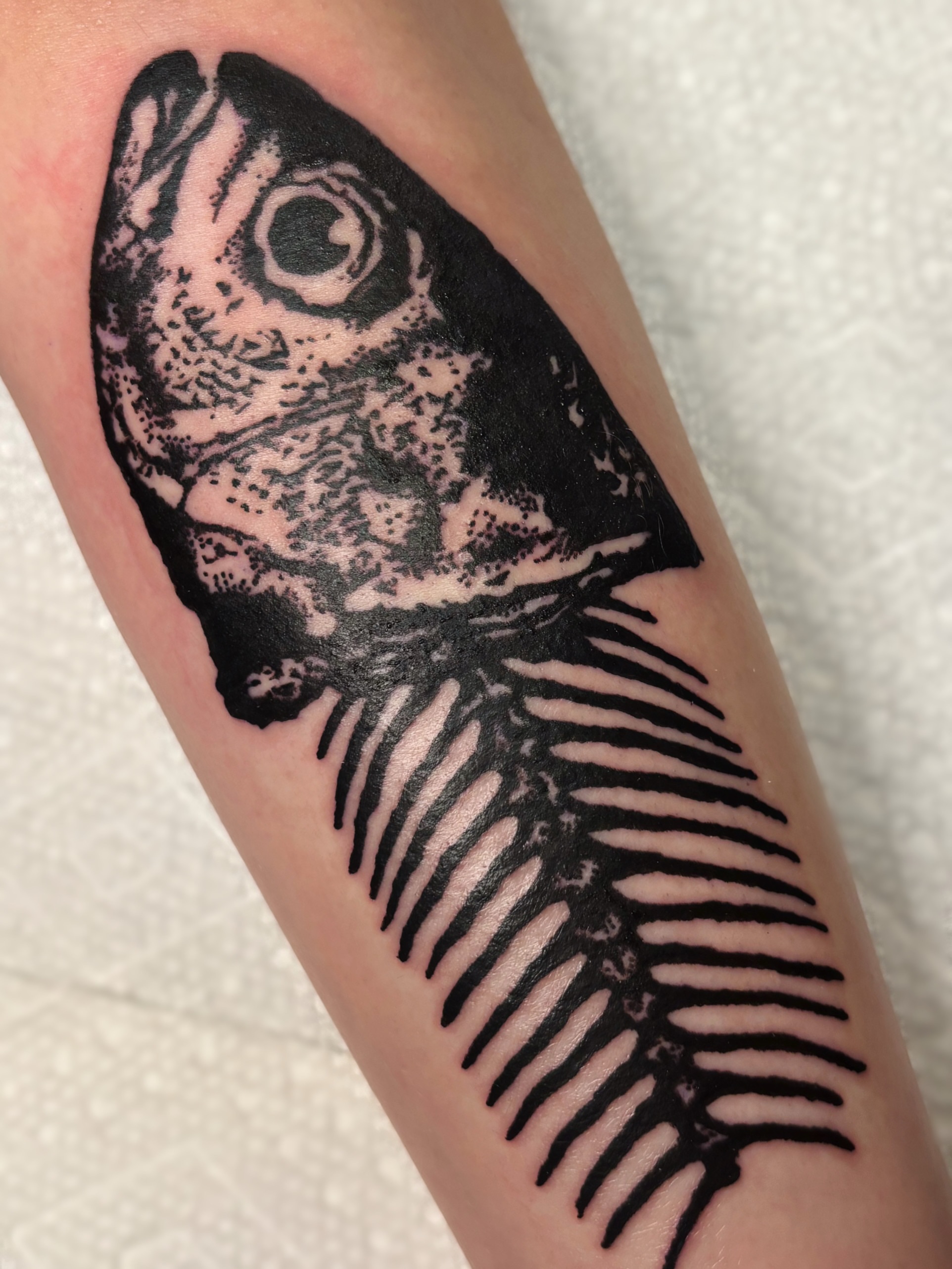 Fish dotwork tattoo on the forearm by Cooper, Portland, Oregon
