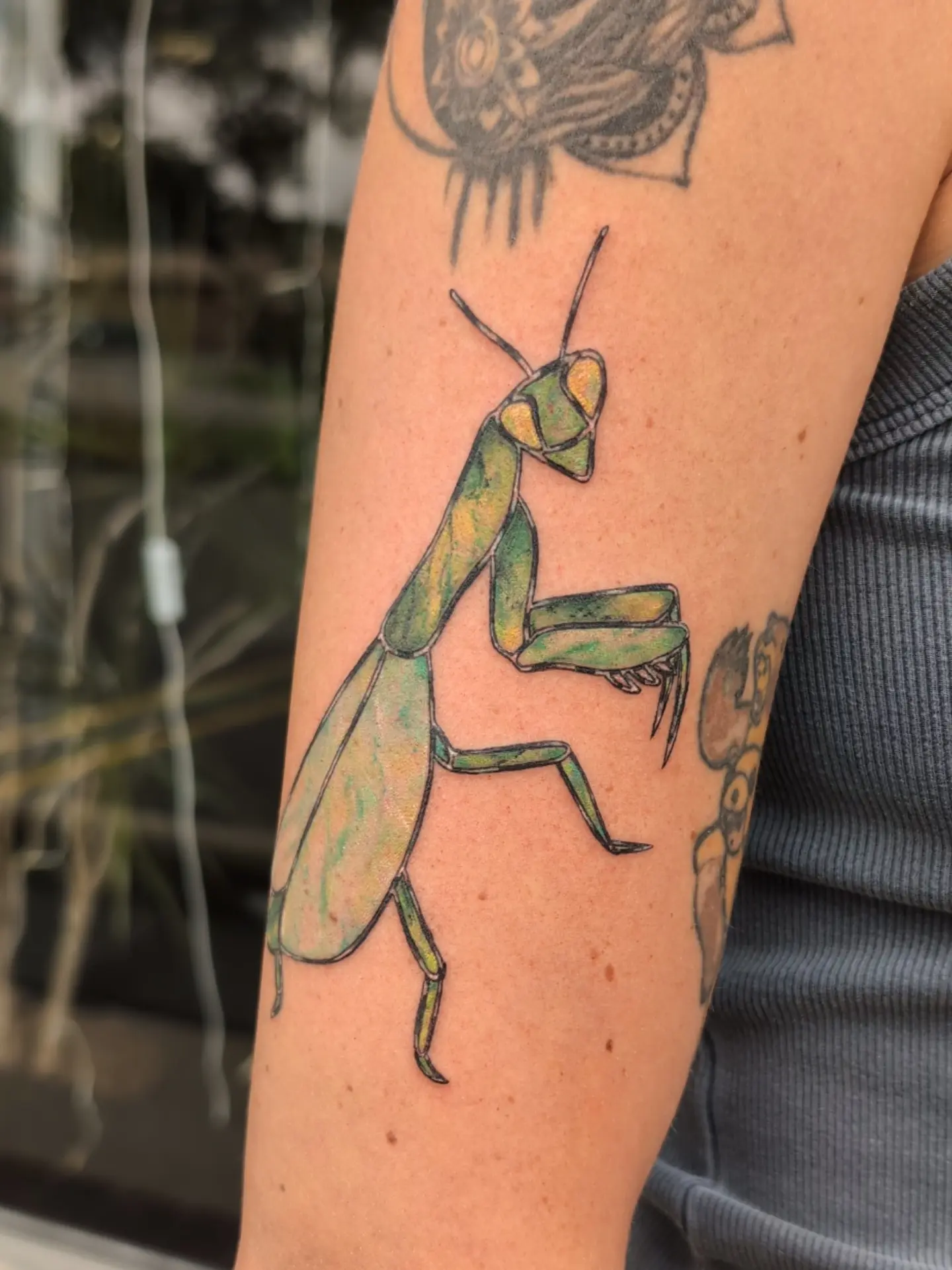 Praying mantis realism tattoo on the forearm by Hannah Hayes, Livonia, Michigan